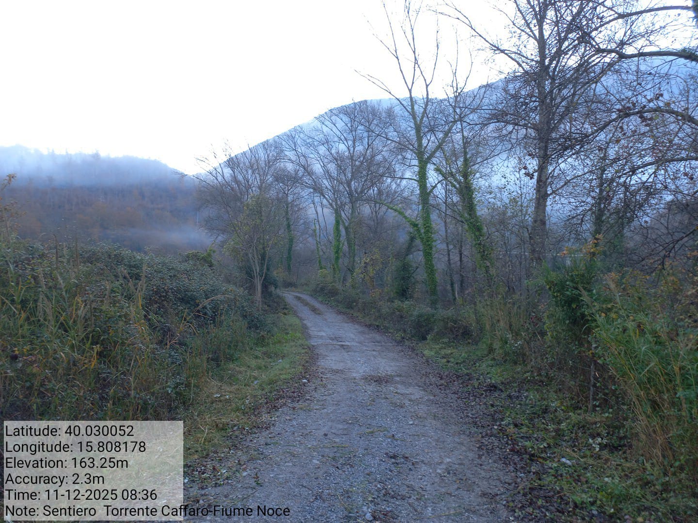 Galleria Fotografica Immagine