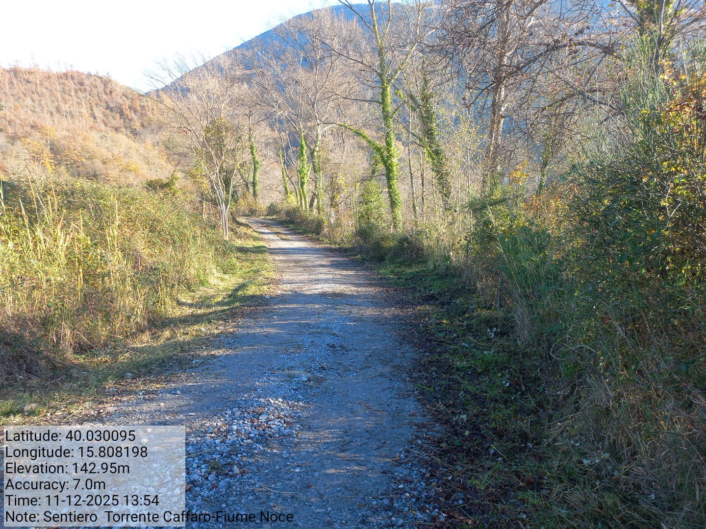 Galleria Fotografica Immagine