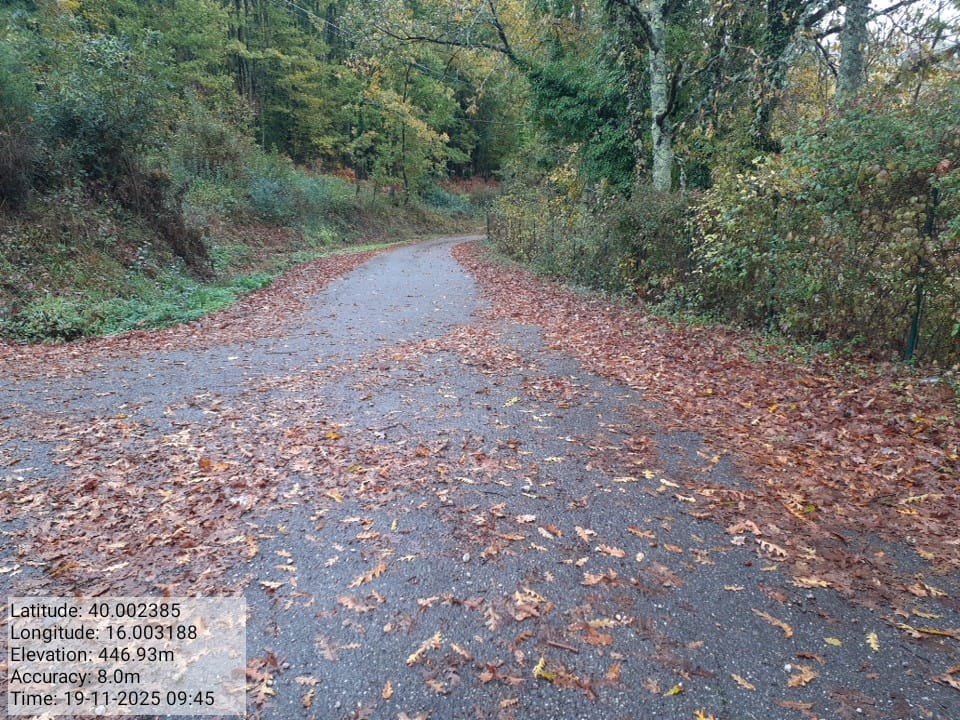 Galleria Fotografica Immagine