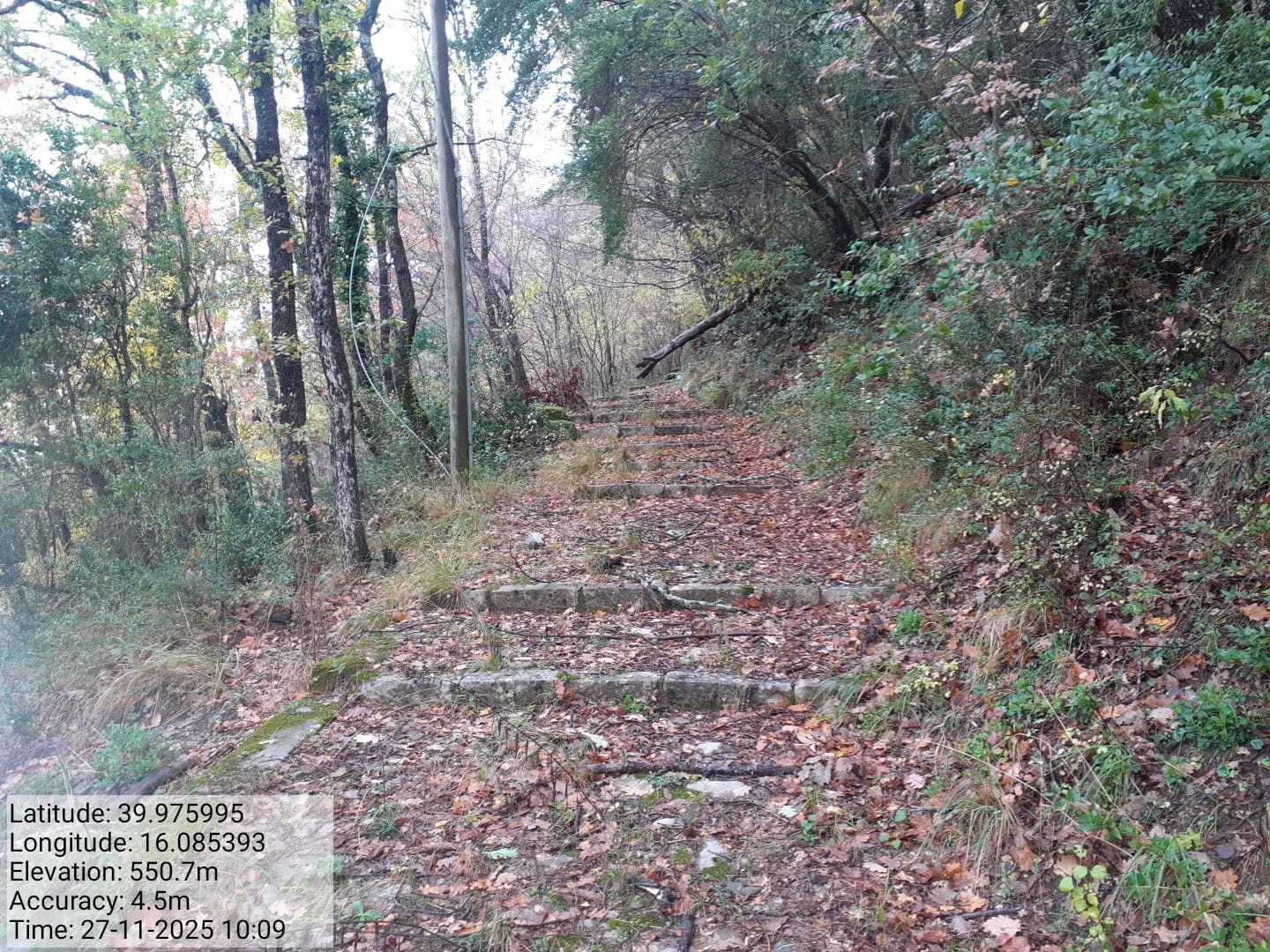 Galleria Fotografica Immagine