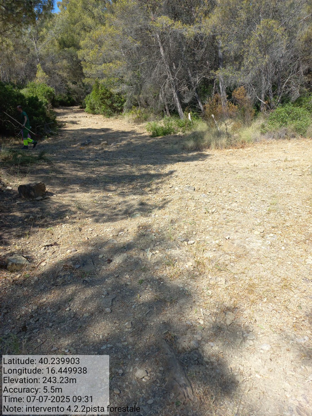 Galleria Fotografica Immagine