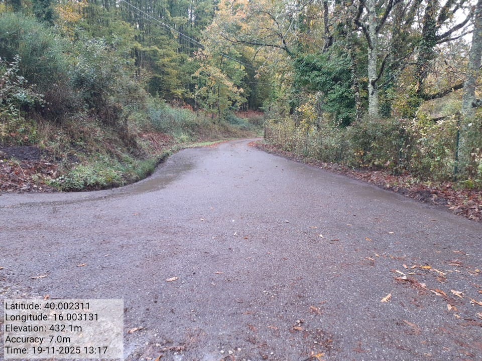 Galleria Fotografica Immagine