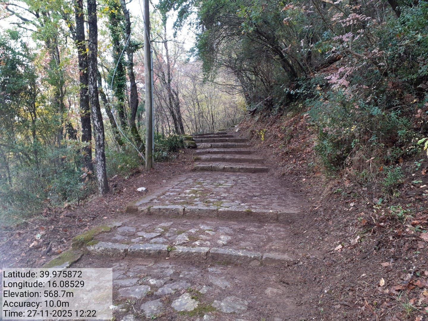 Galleria Fotografica Immagine