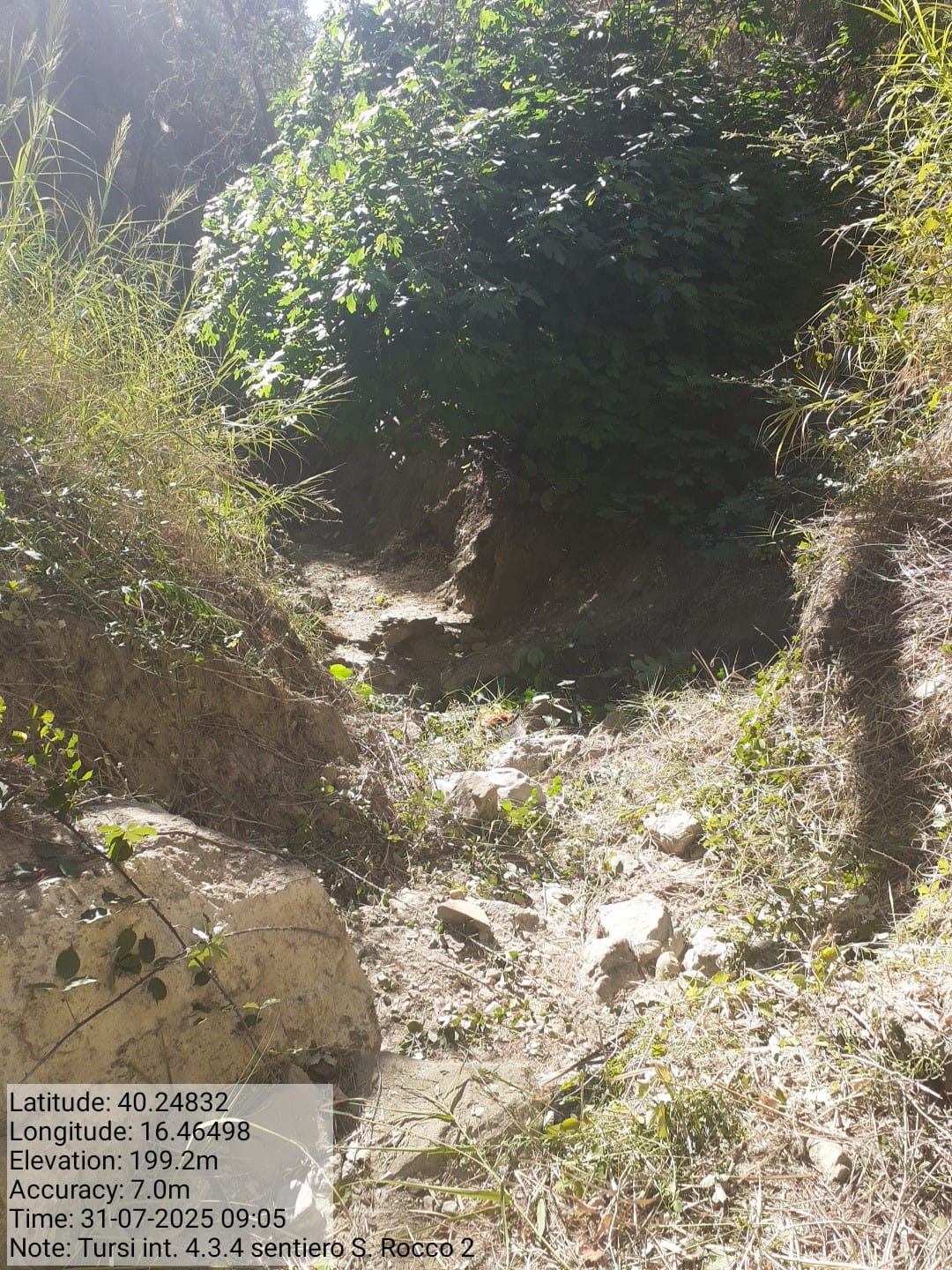 Galleria Fotografica Immagine