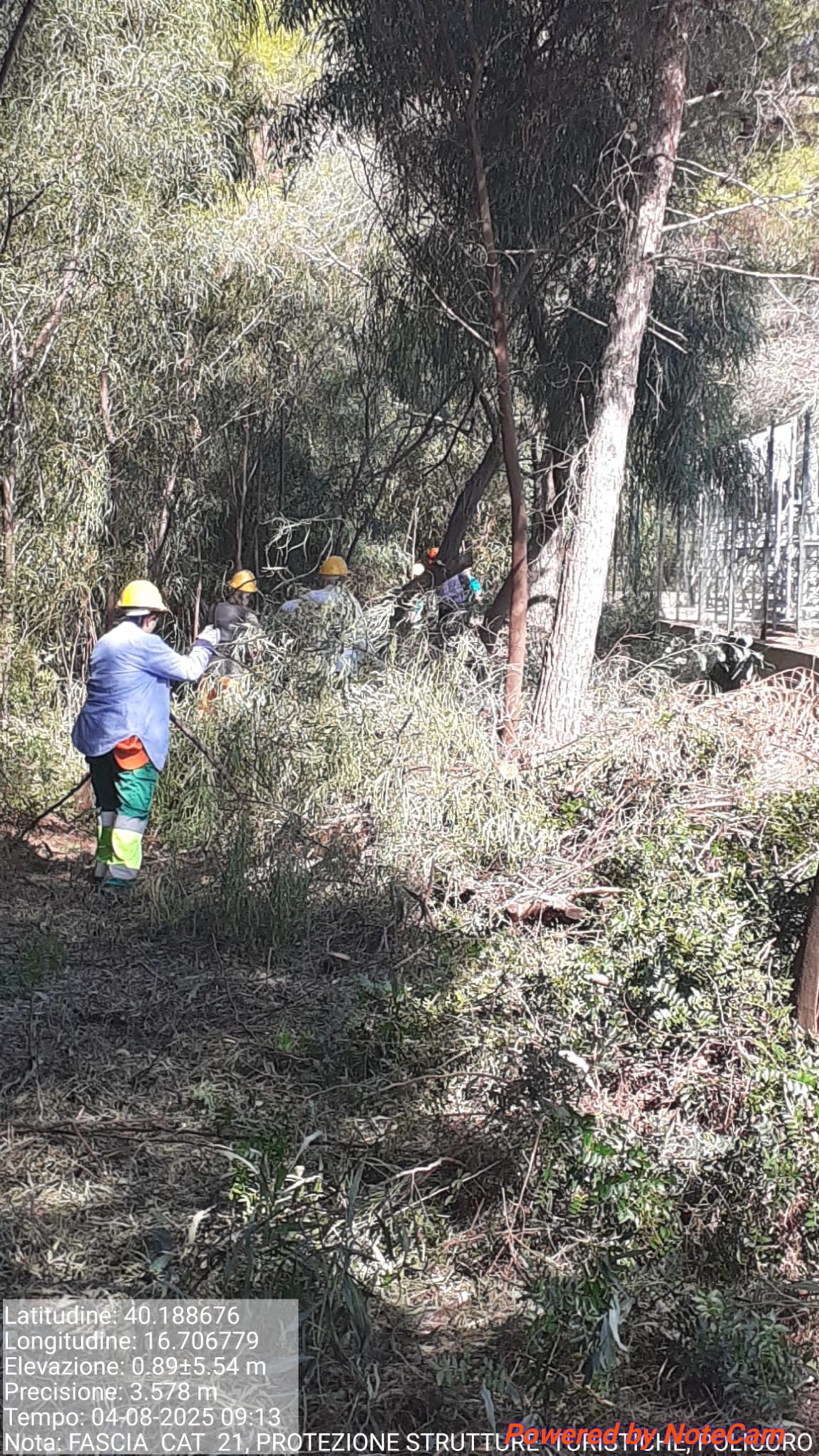 Galleria Fotografica Immagine