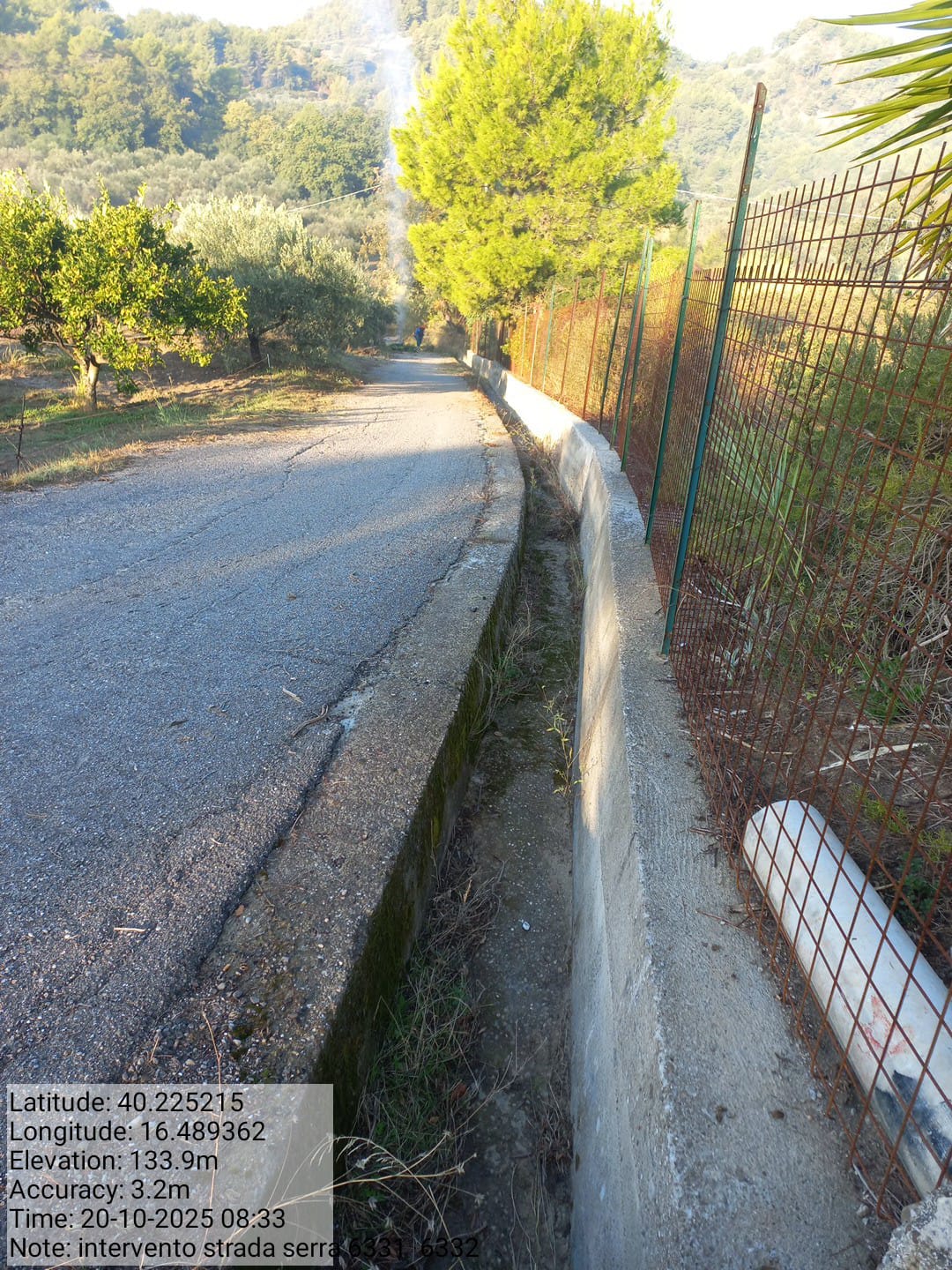 Galleria Fotografica Immagine