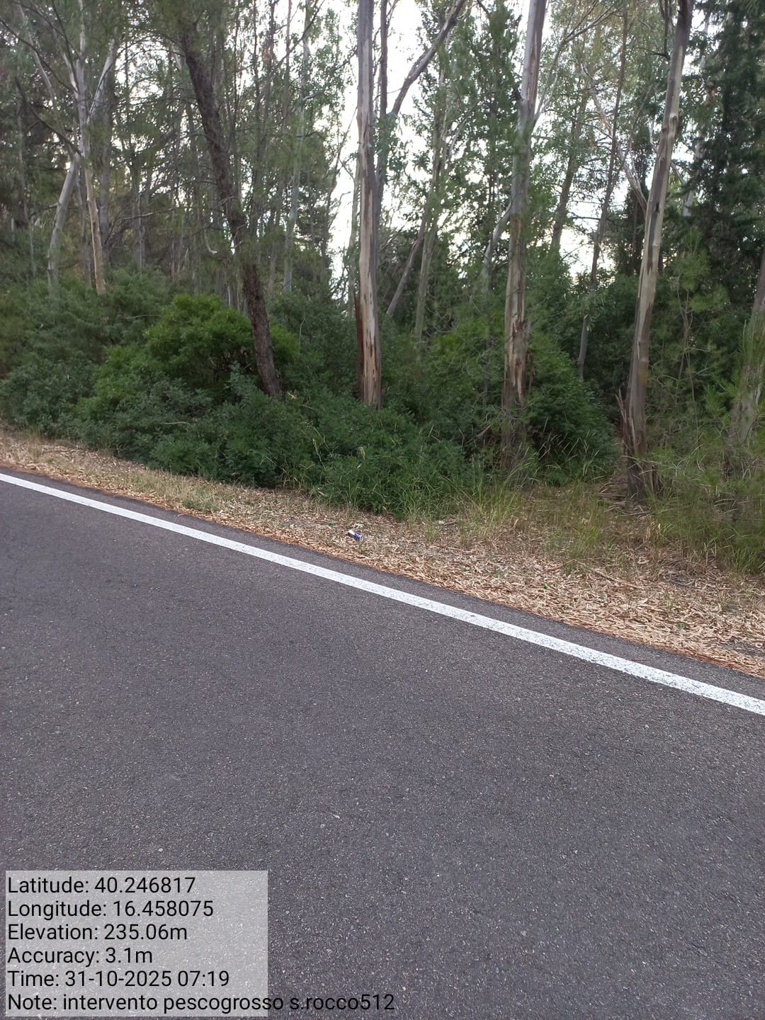 Galleria Fotografica Immagine