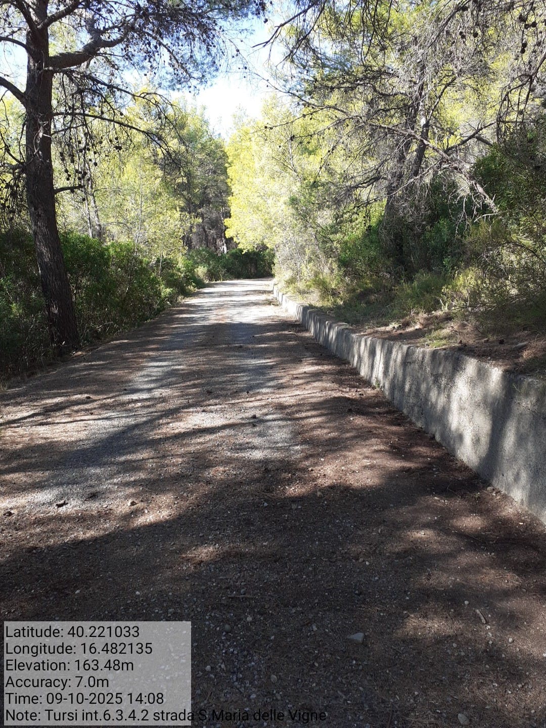 Galleria Fotografica Immagine