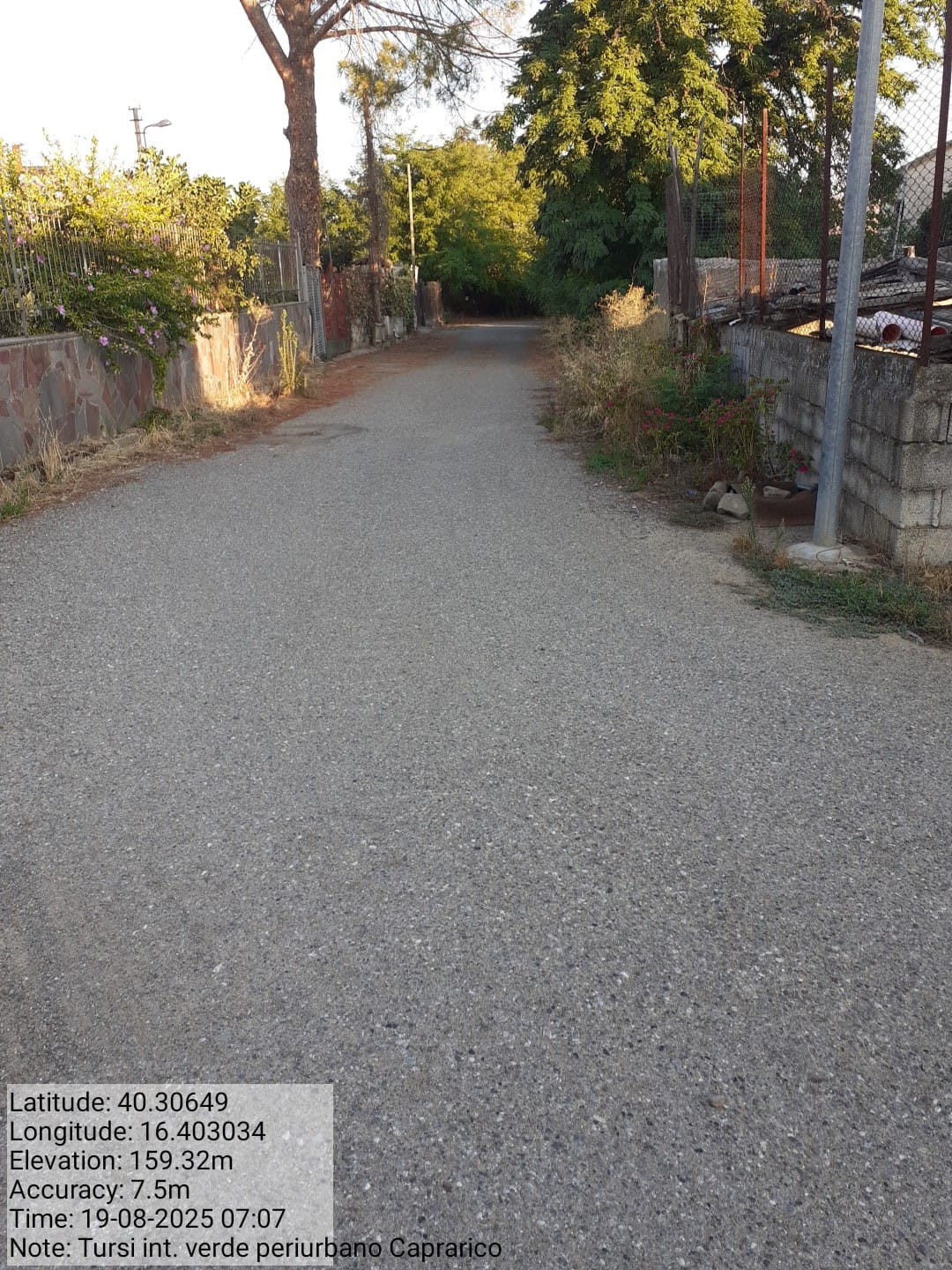 Galleria Fotografica Immagine