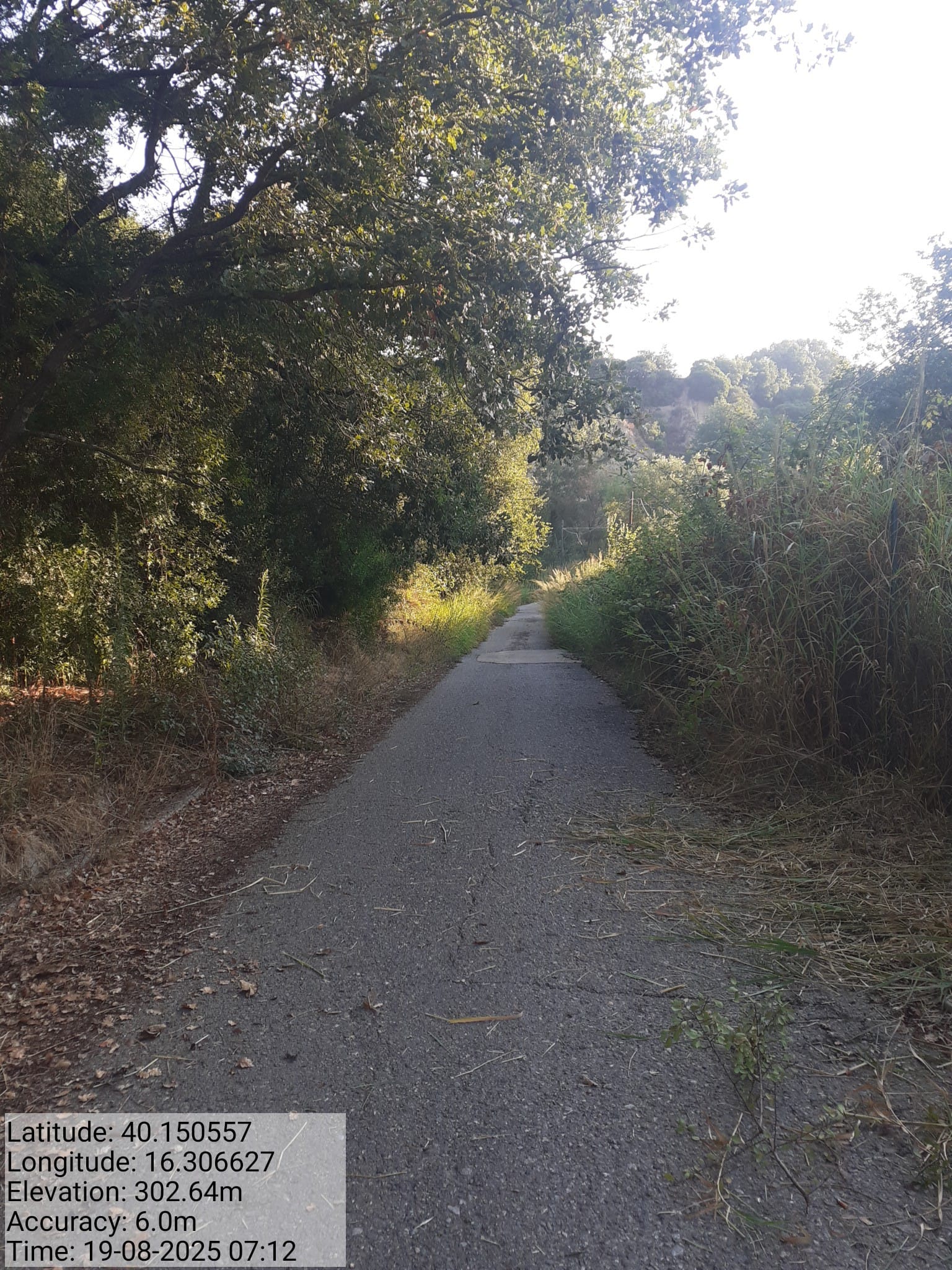 Galleria Fotografica Immagine