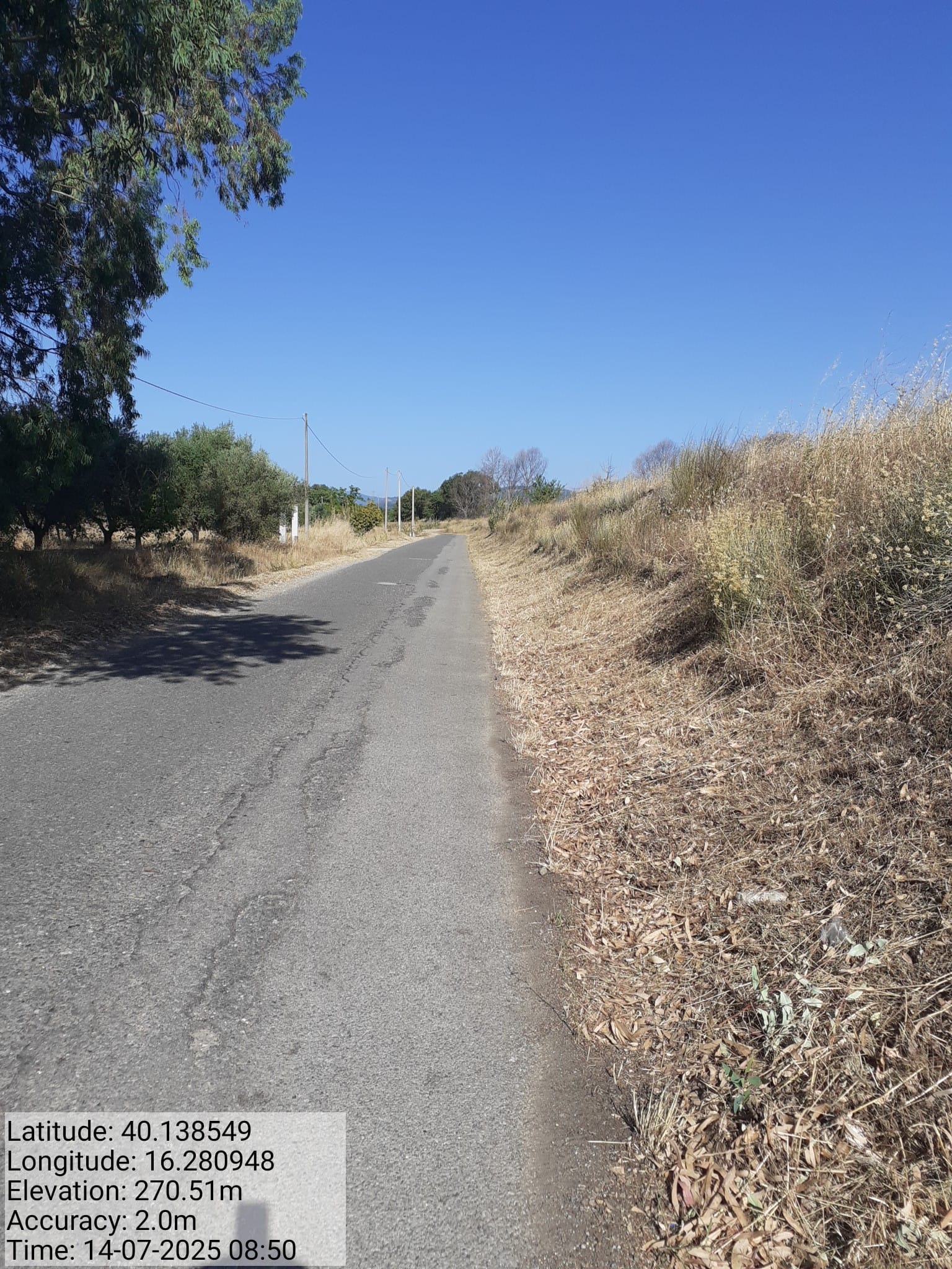 Galleria Fotografica Immagine