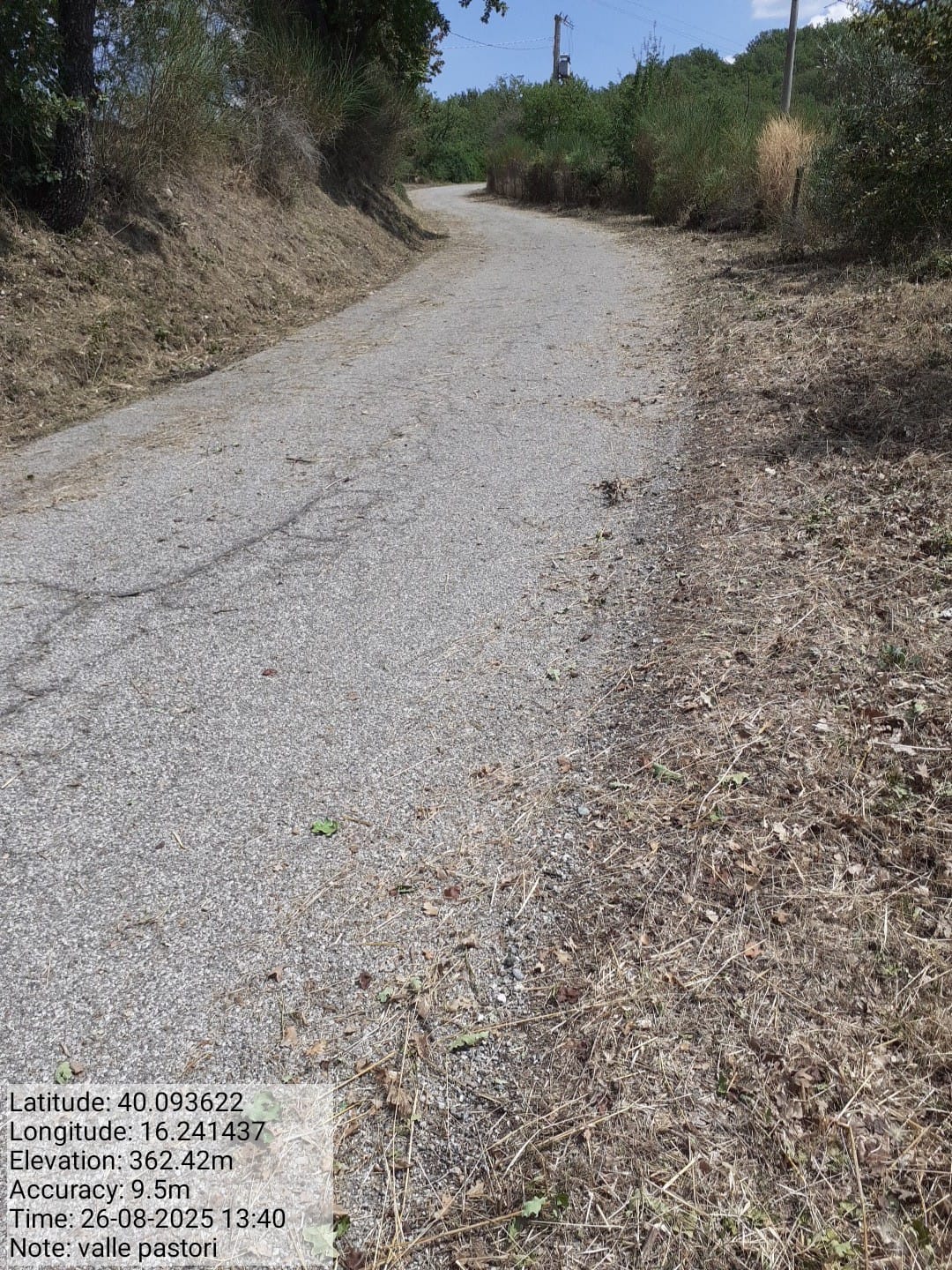 Galleria Fotografica Immagine