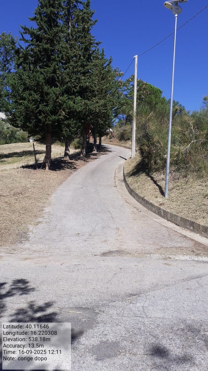 Galleria Fotografica Immagine