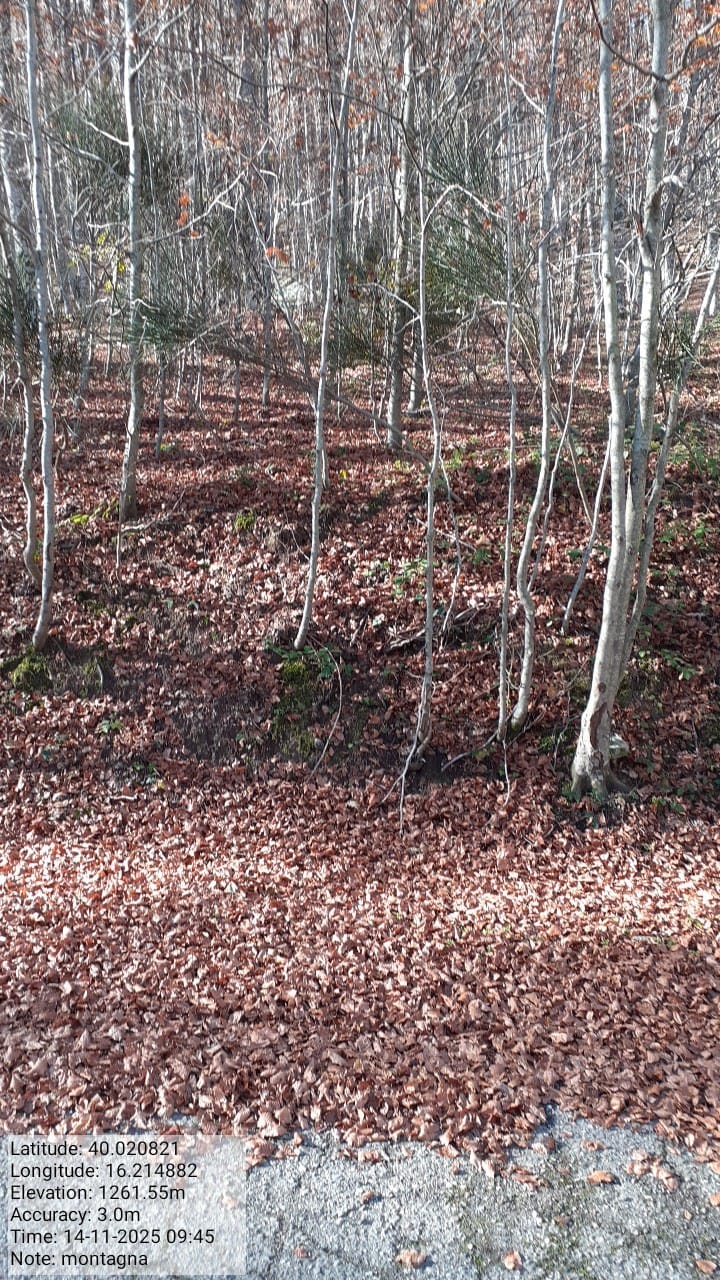 Galleria Fotografica Immagine