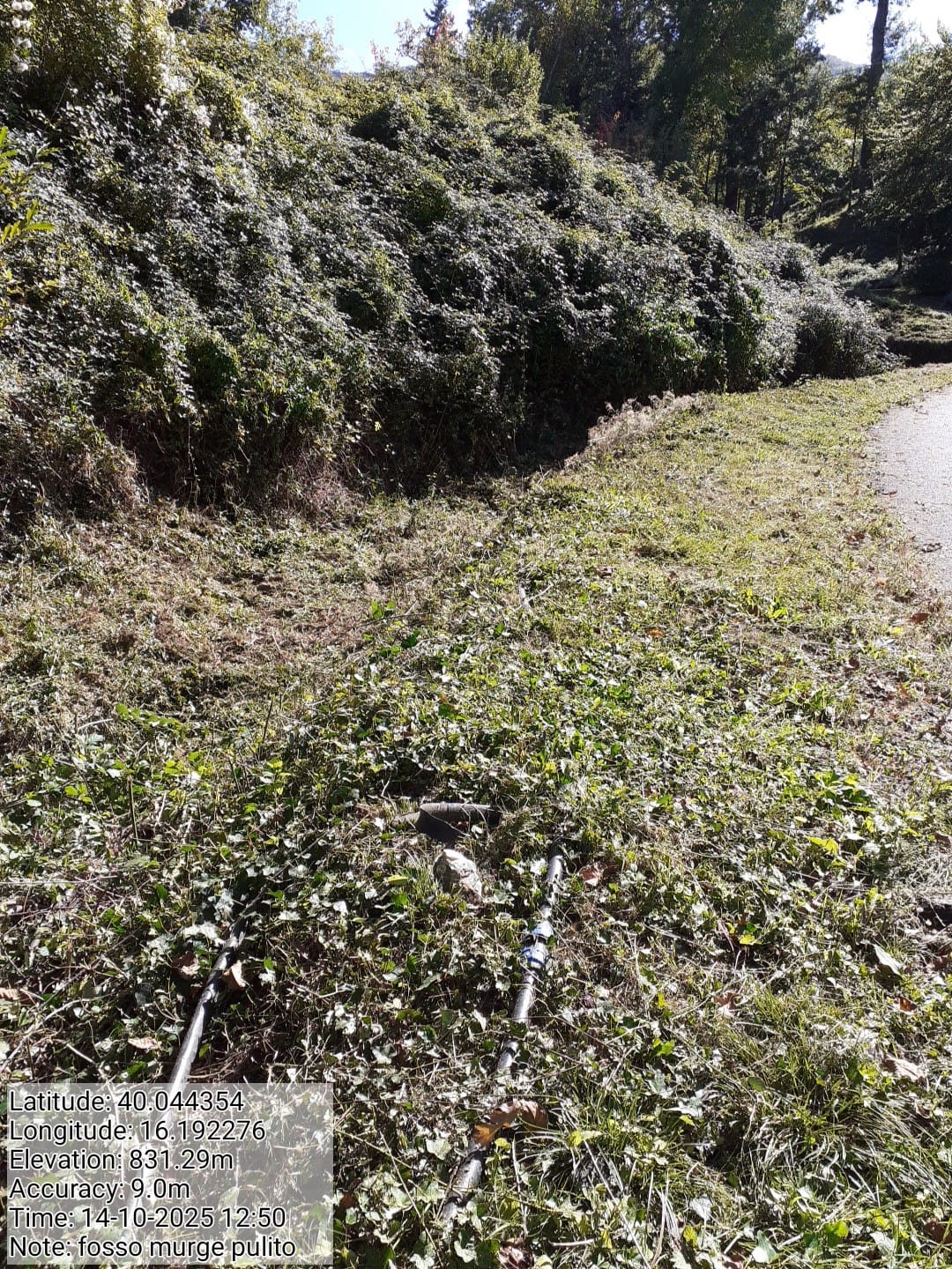 Galleria Fotografica Immagine