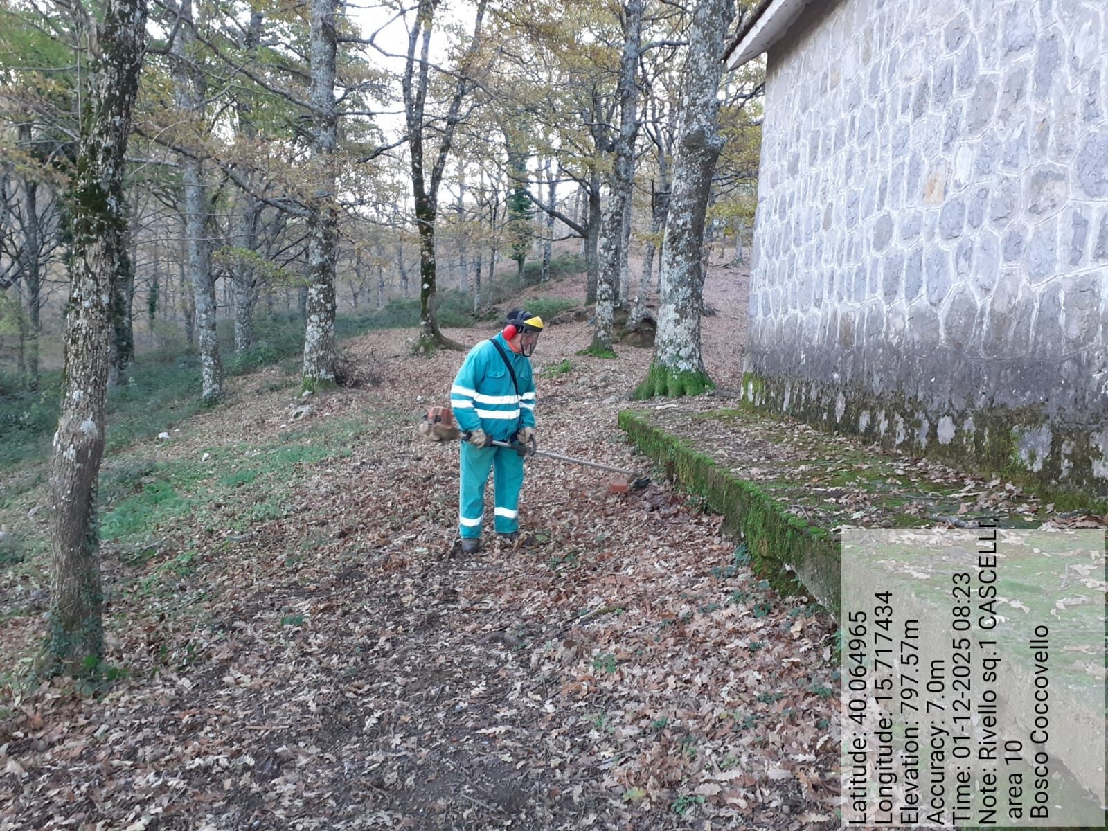 Galleria Fotografica Immagine