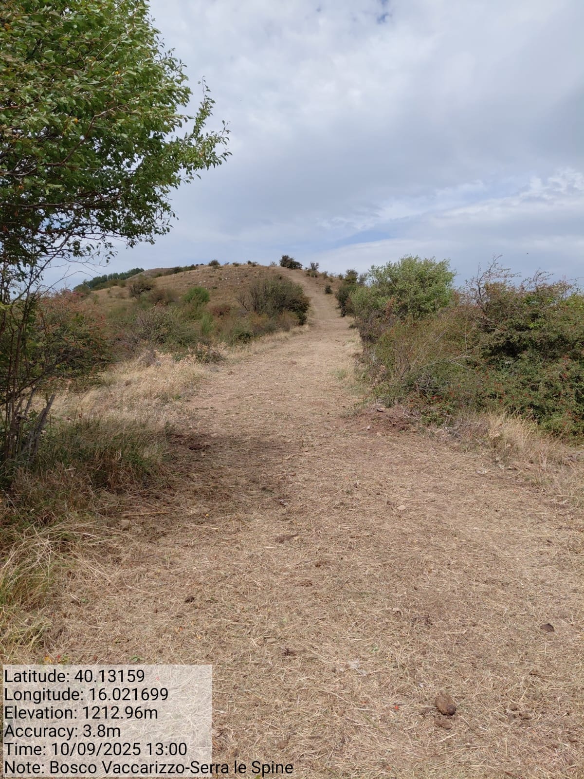 Galleria Fotografica Immagine