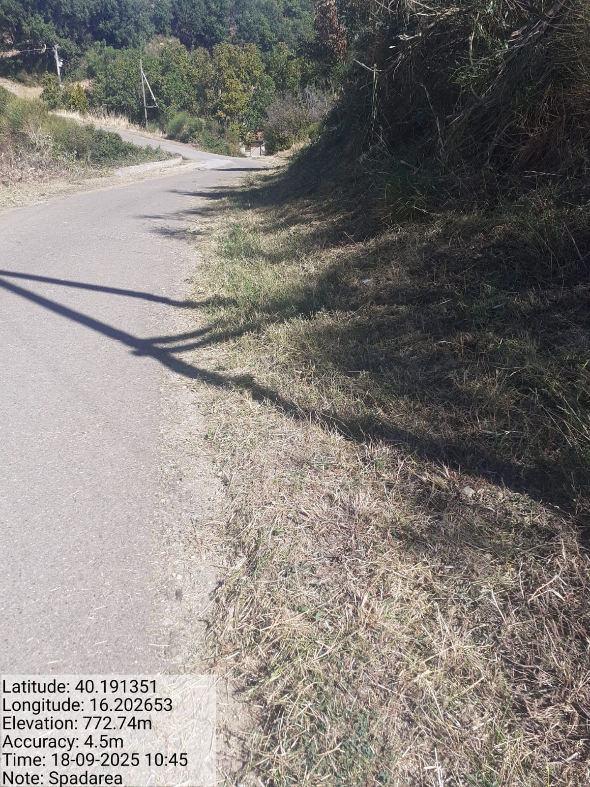 Galleria Fotografica Immagine