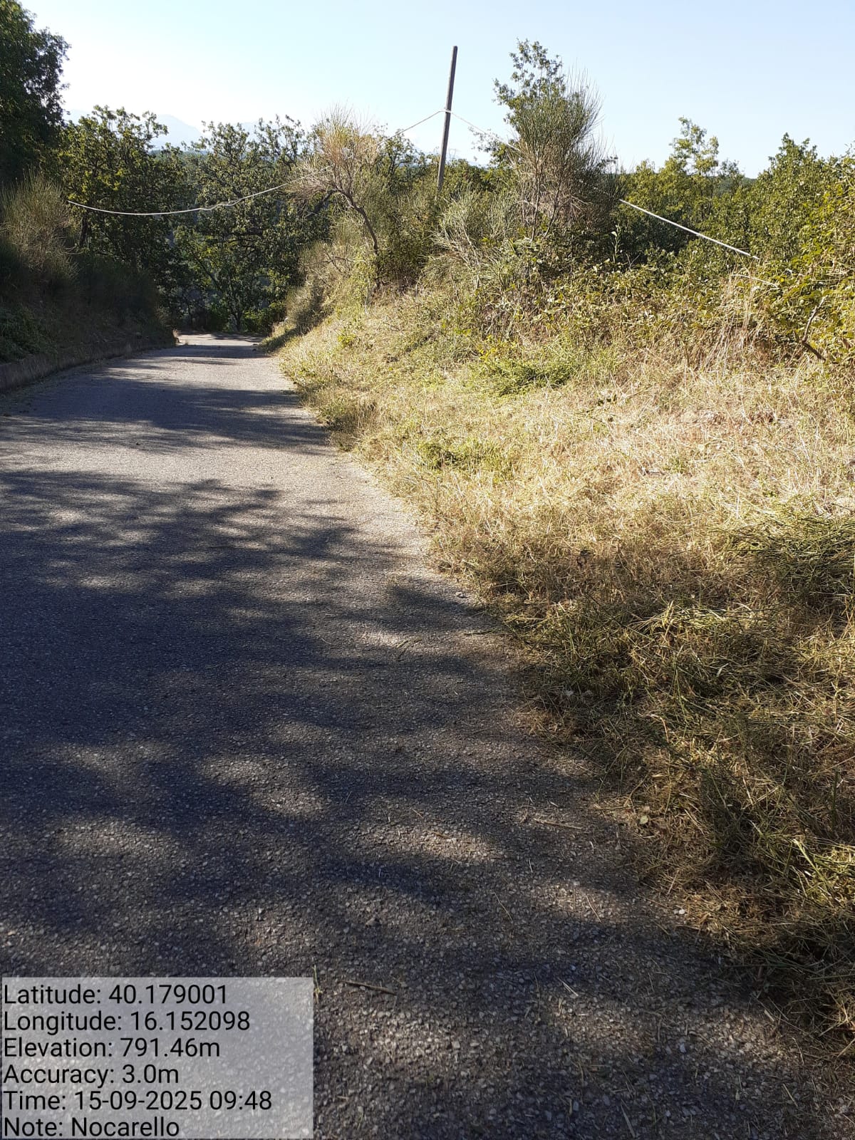 Galleria Fotografica Immagine