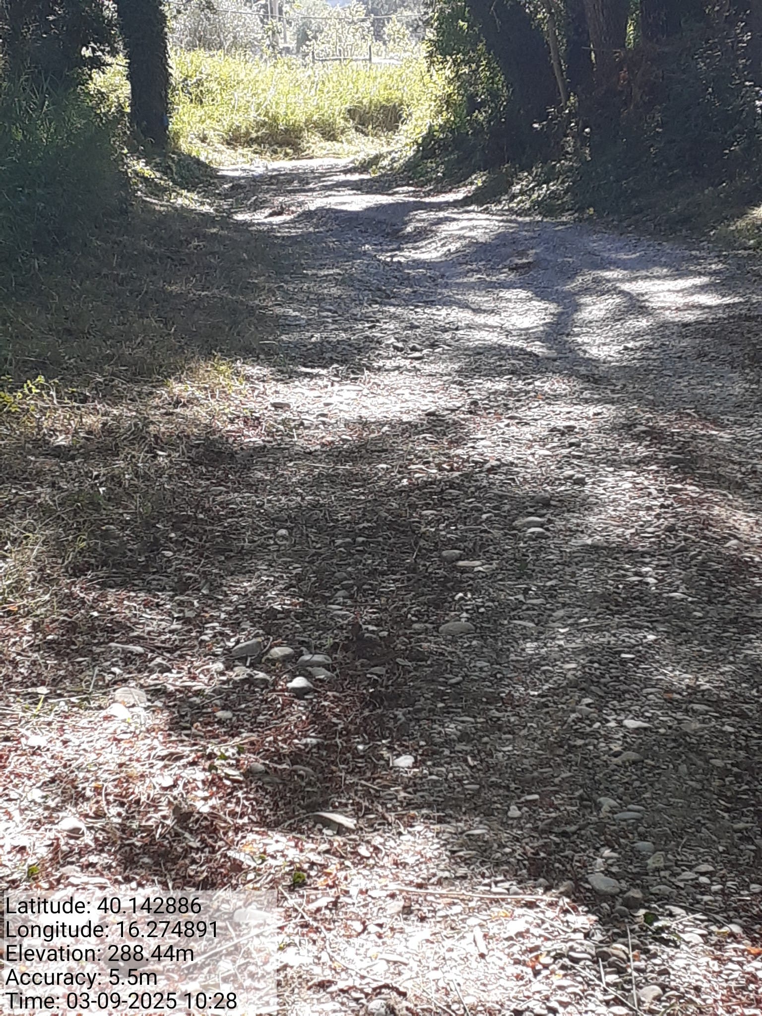 Galleria Fotografica Immagine