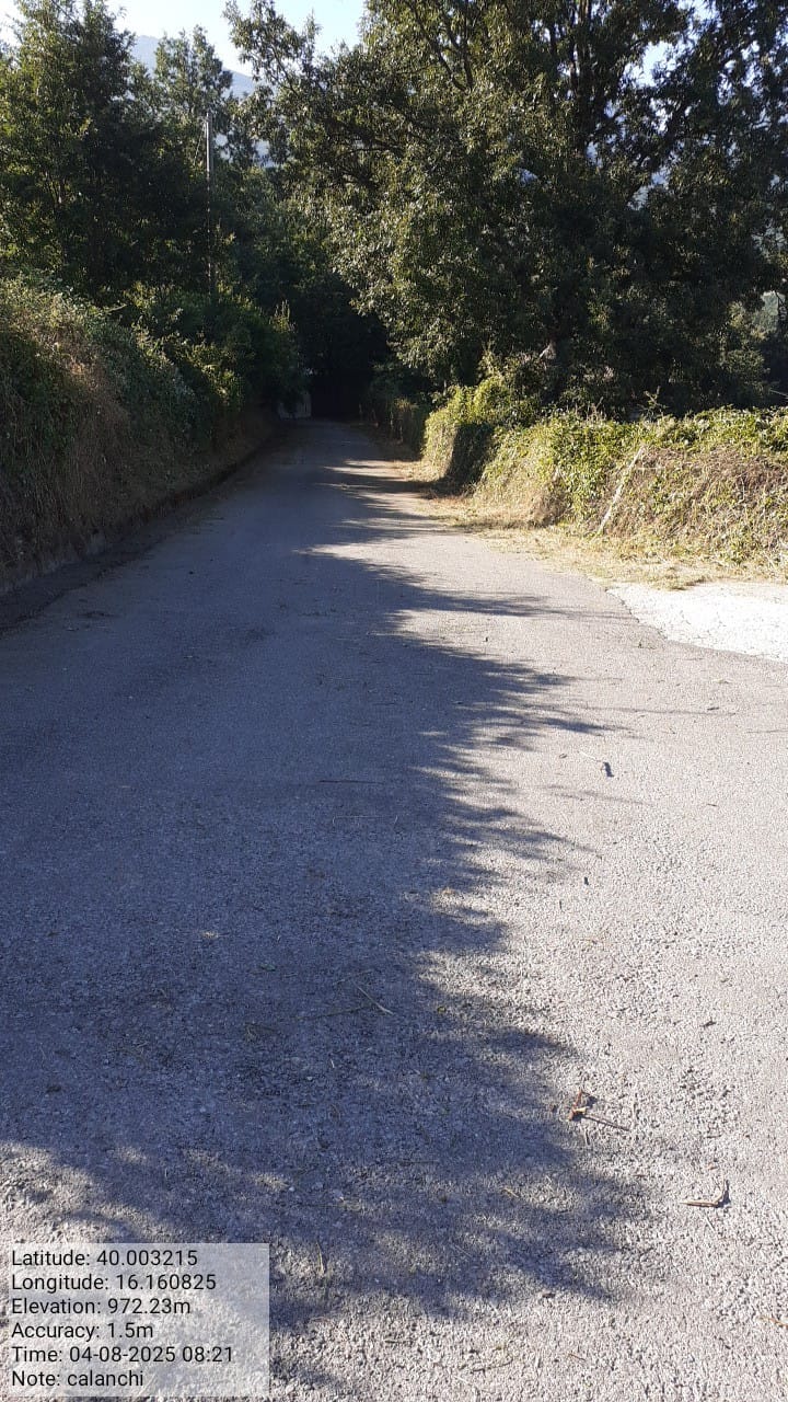 Galleria Fotografica Immagine