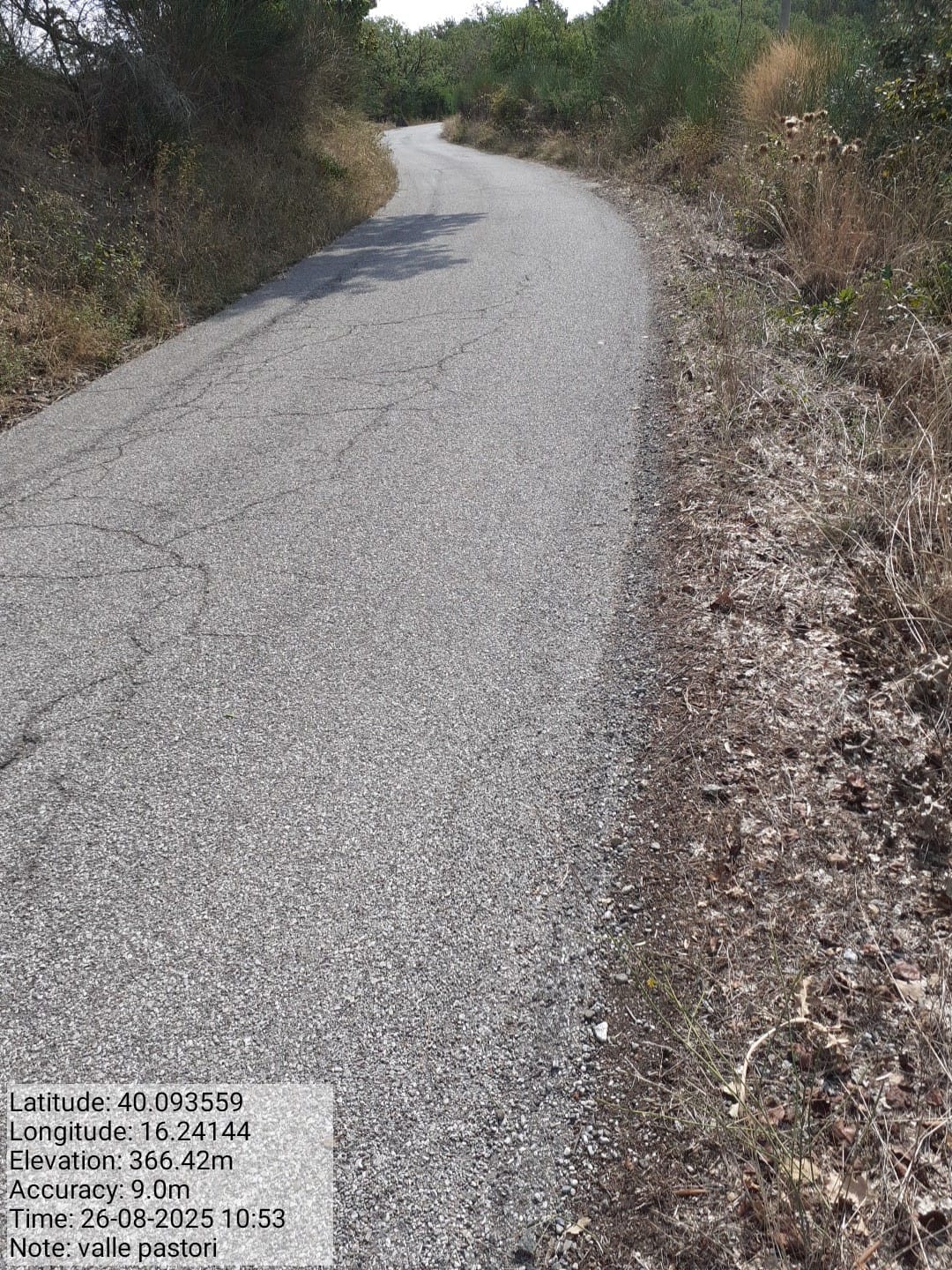 Galleria Fotografica Immagine