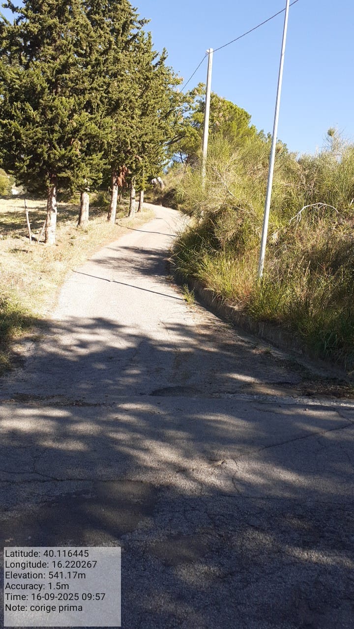 Galleria Fotografica Immagine