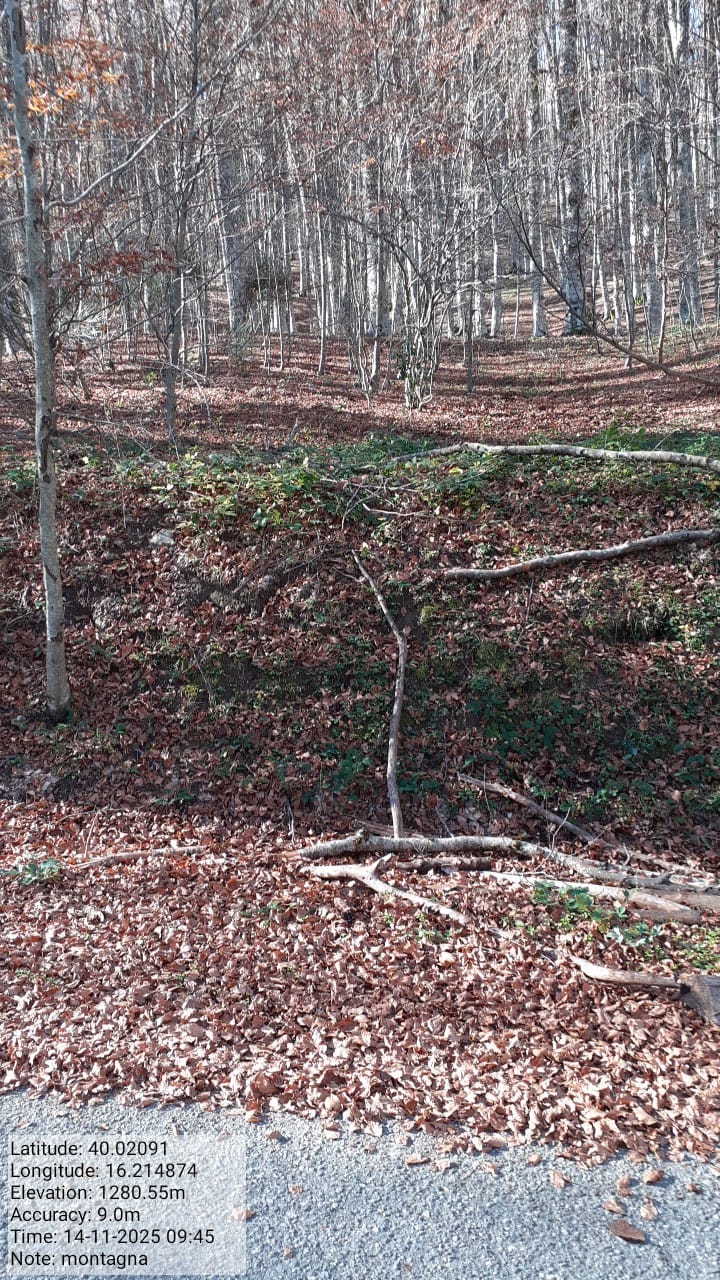 Galleria Fotografica Immagine