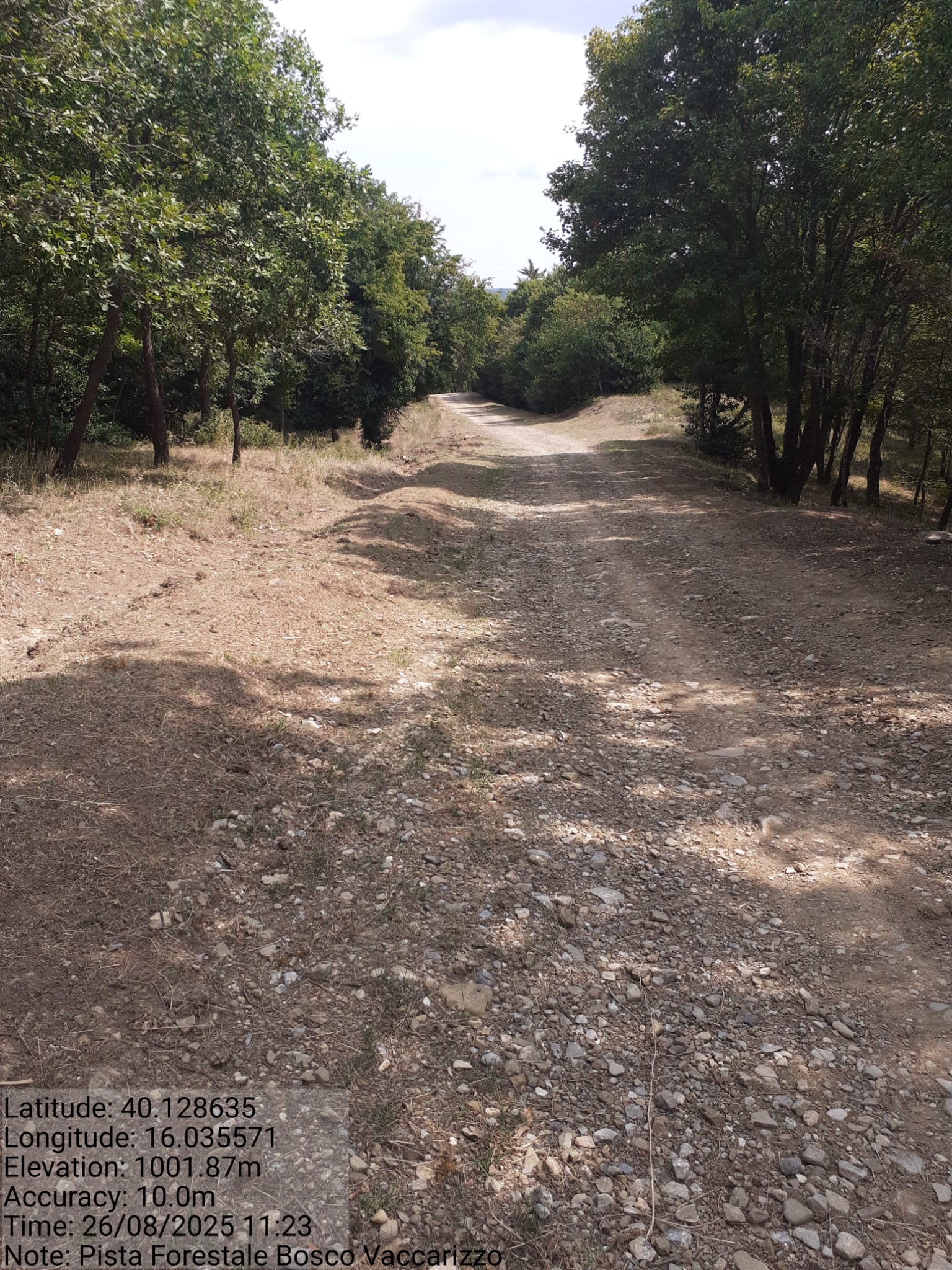 Galleria Fotografica Immagine