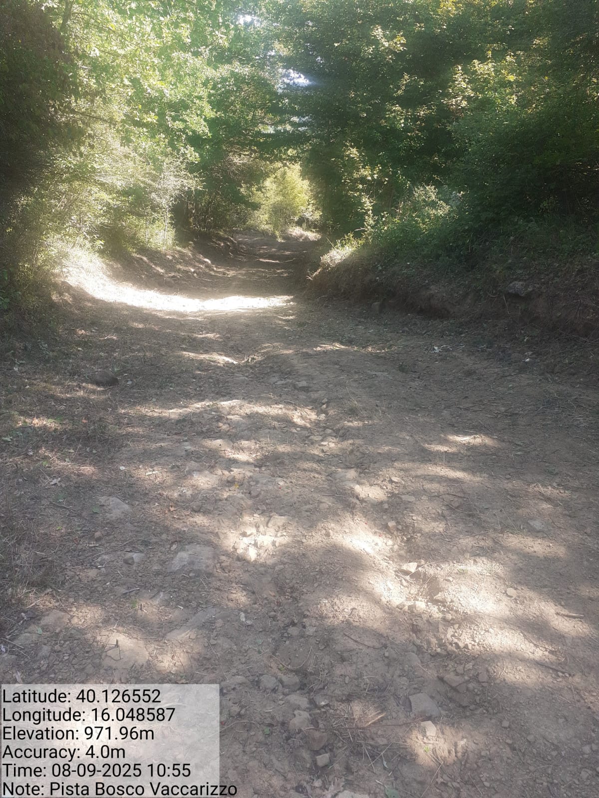 Galleria Fotografica Immagine