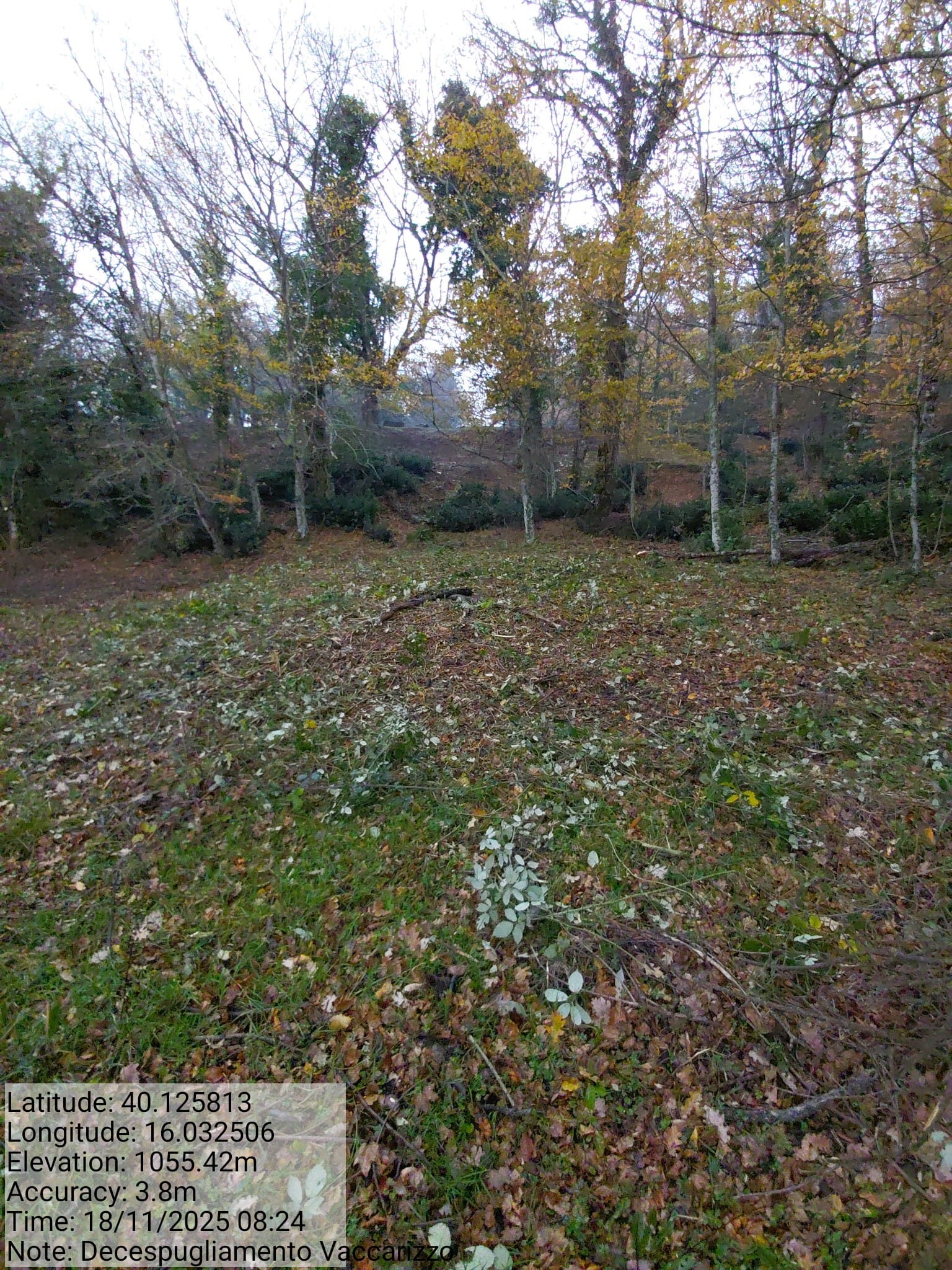 Galleria Fotografica Immagine