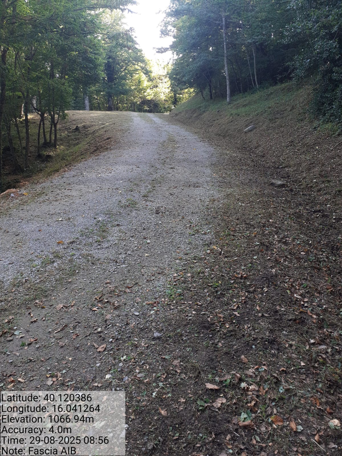 Galleria Fotografica Immagine