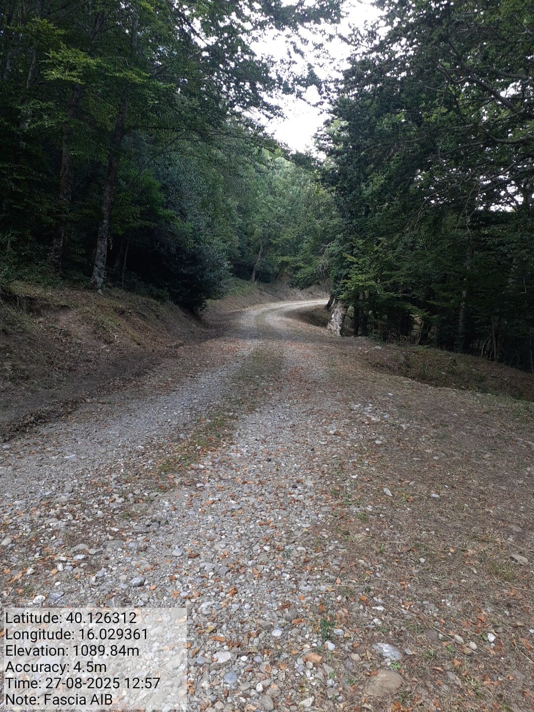 Galleria Fotografica Immagine