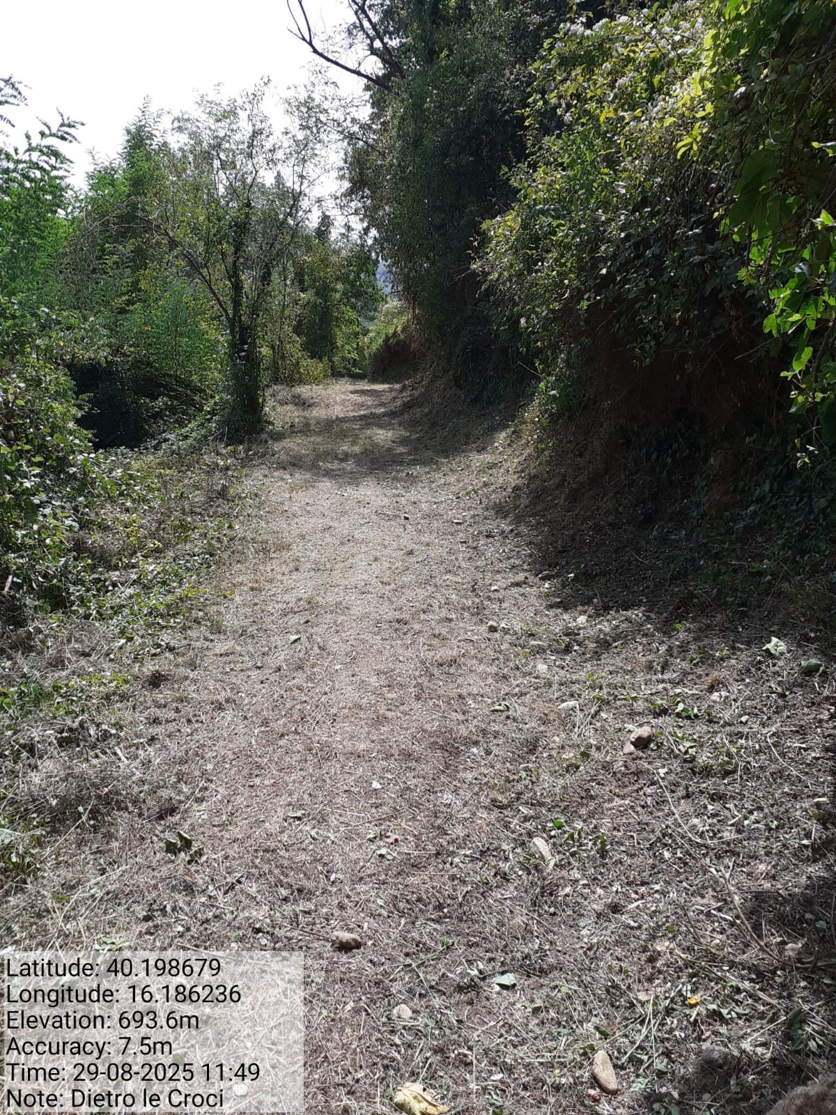 Galleria Fotografica Immagine