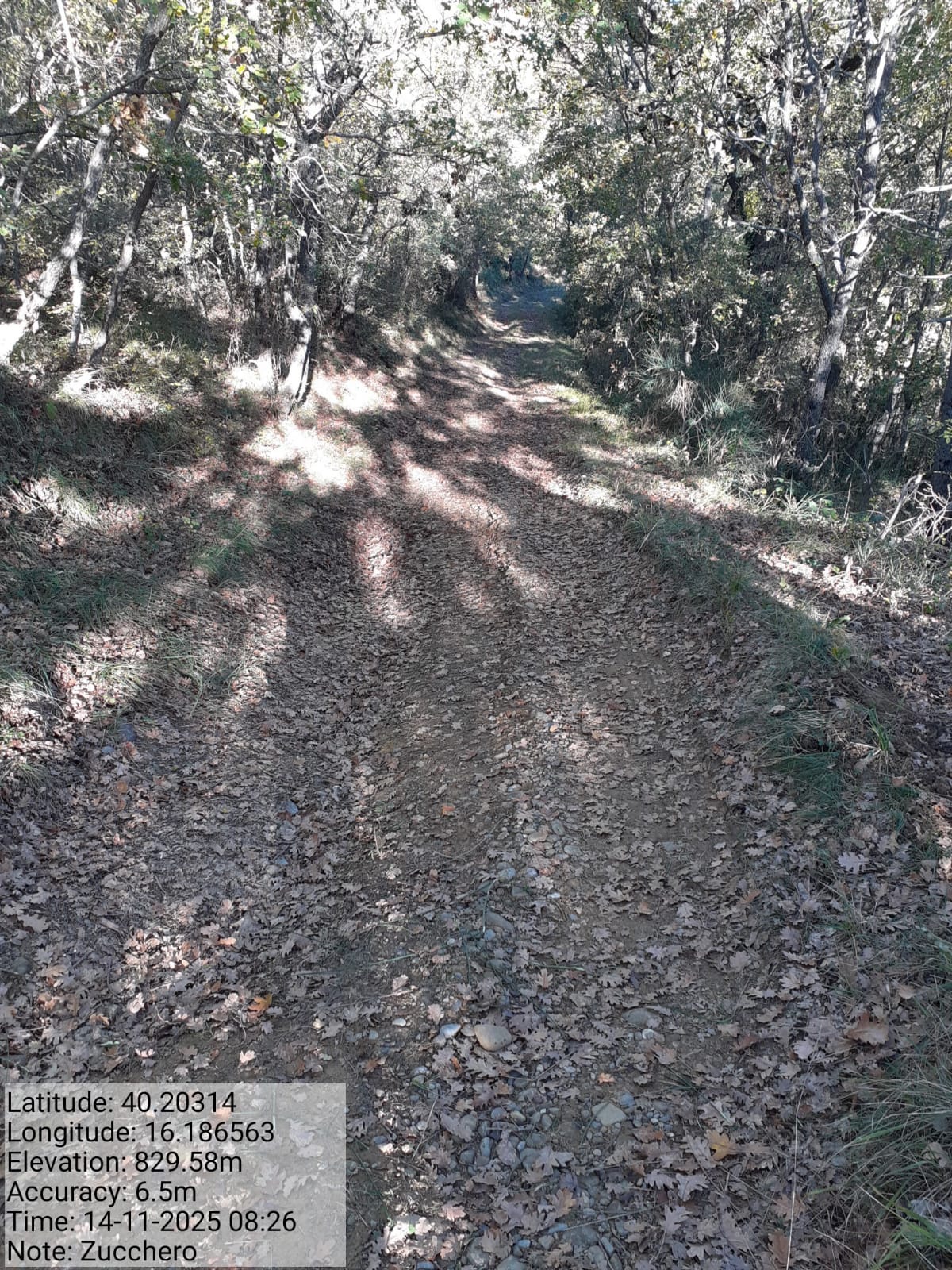 Galleria Fotografica Immagine