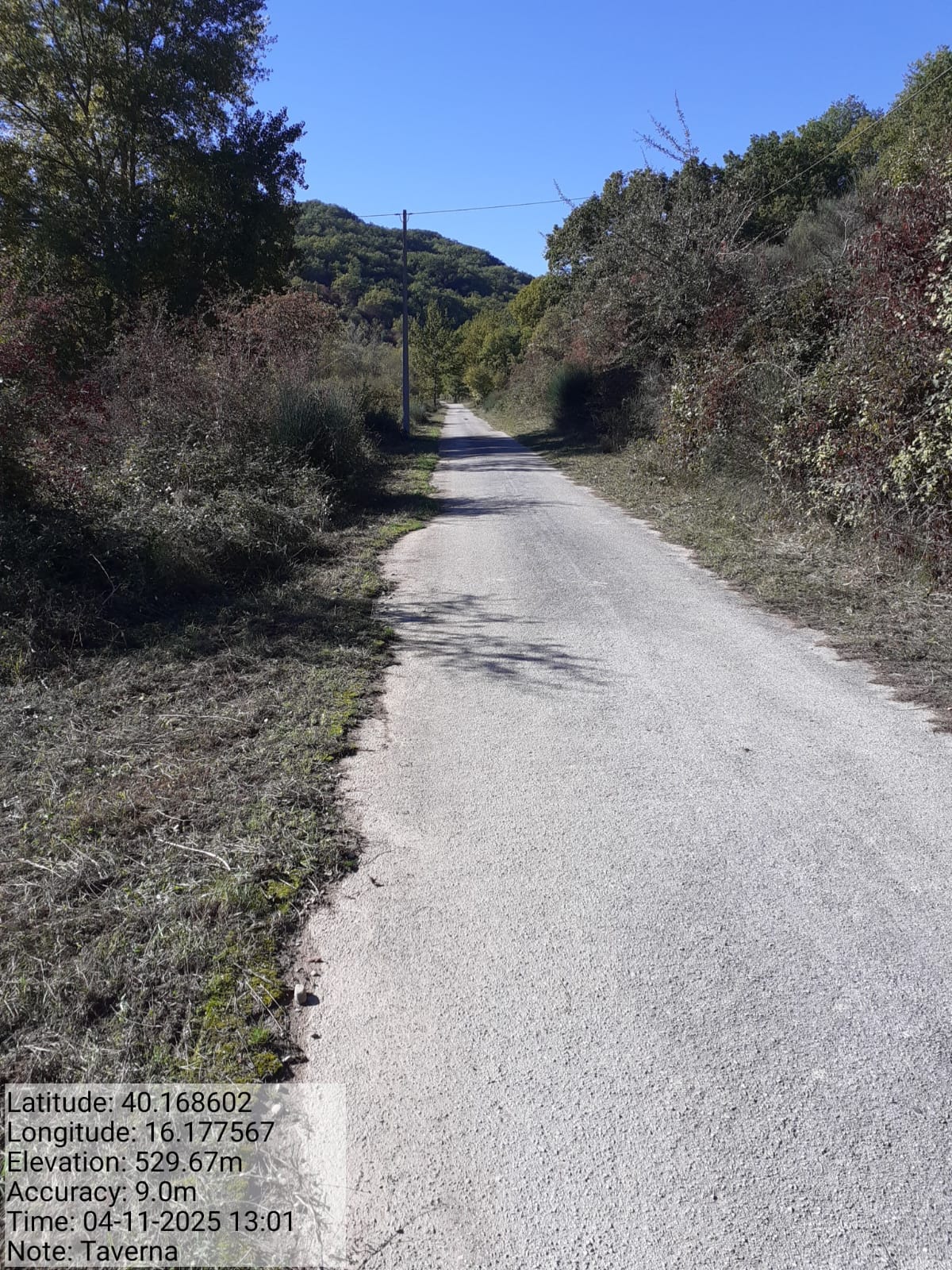 Galleria Fotografica Immagine