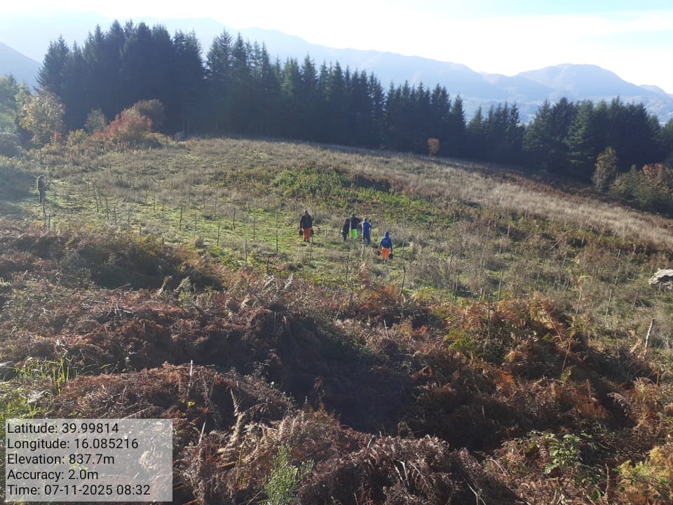 Galleria Fotografica Immagine