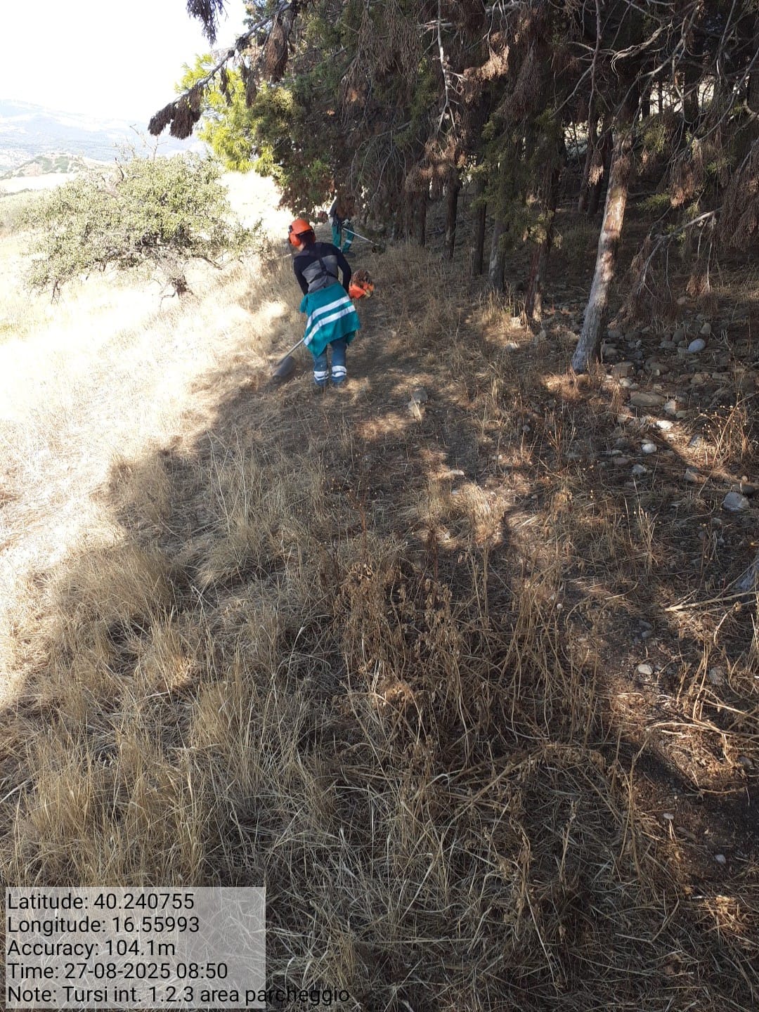 Galleria Fotografica Immagine