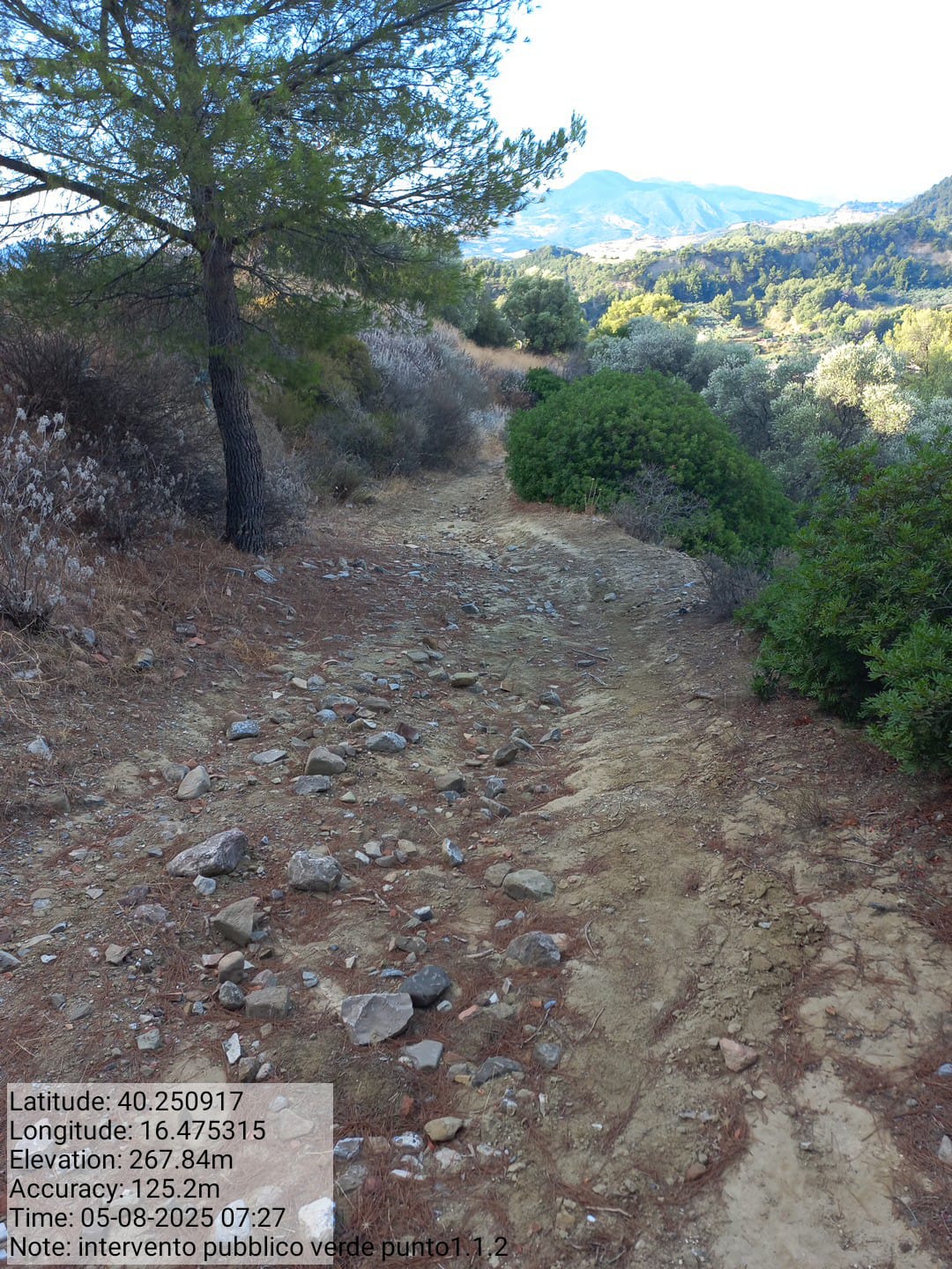 Galleria Fotografica Immagine