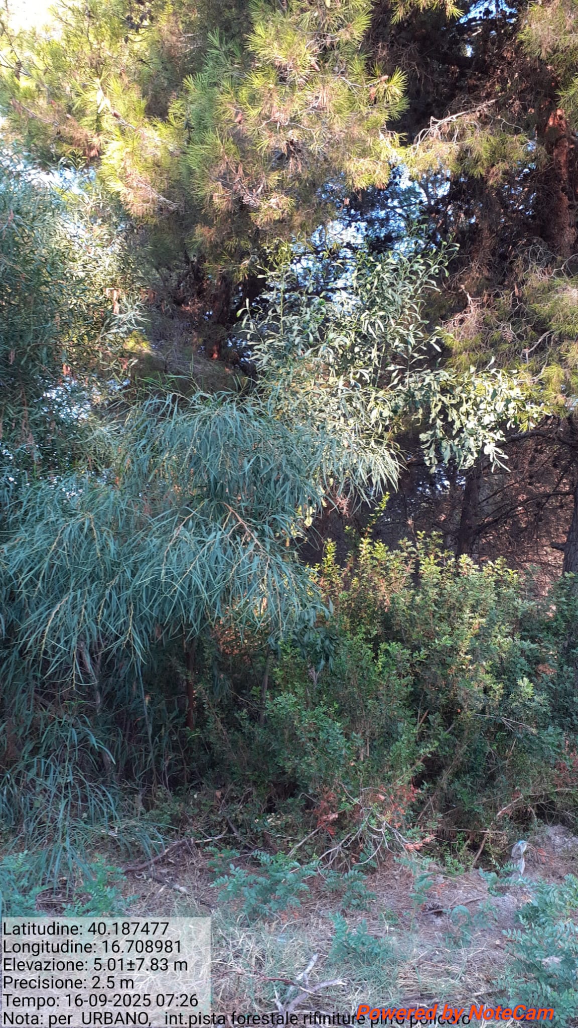 Galleria Fotografica Immagine