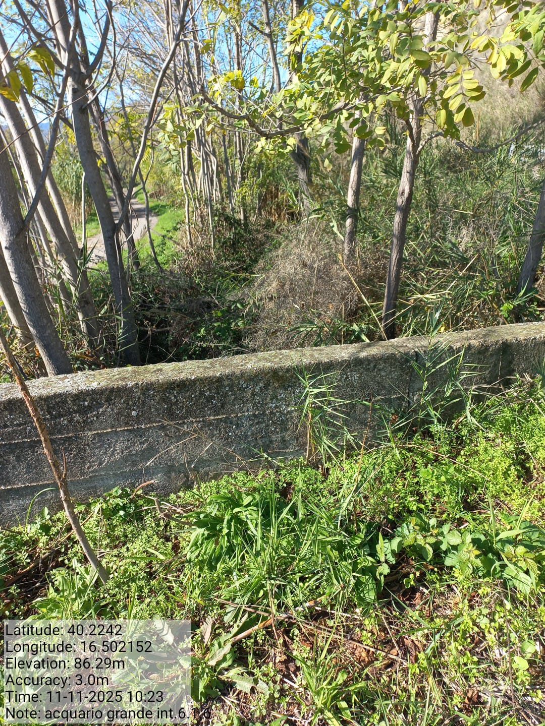 Galleria Fotografica Immagine