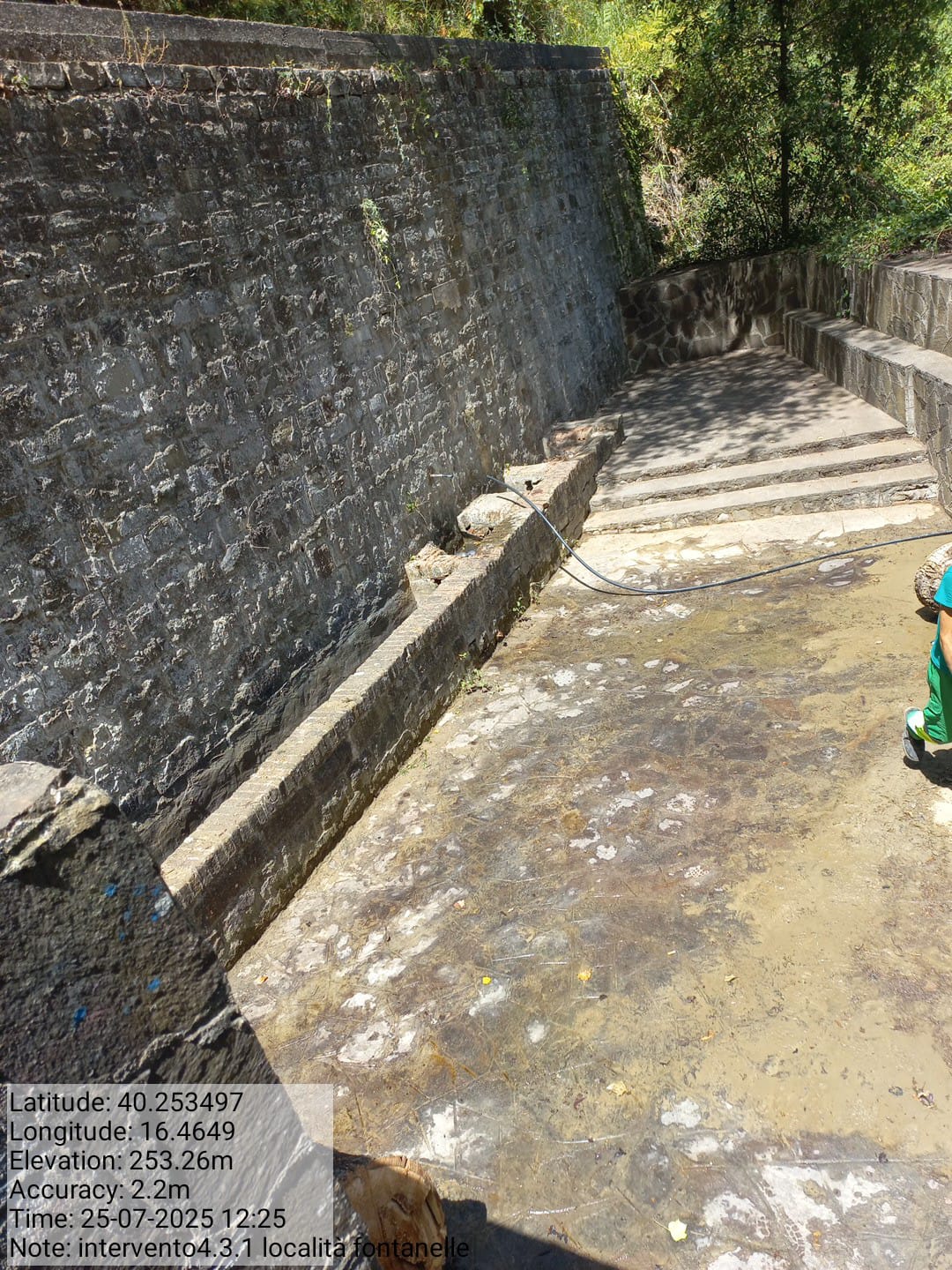 Galleria Fotografica Immagine