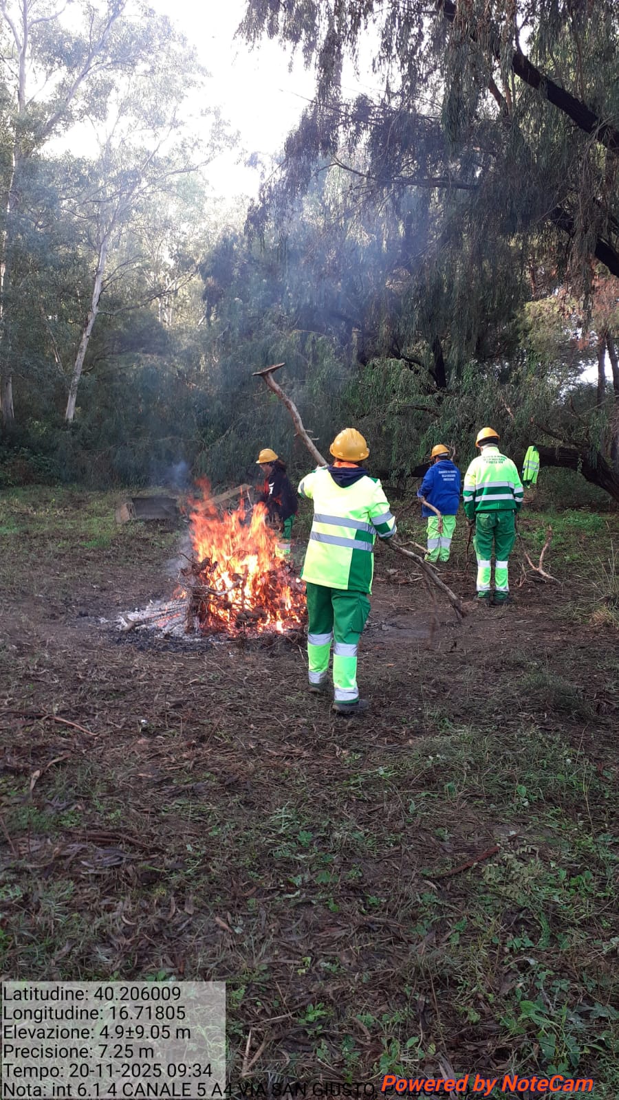 Galleria Fotografica Immagine