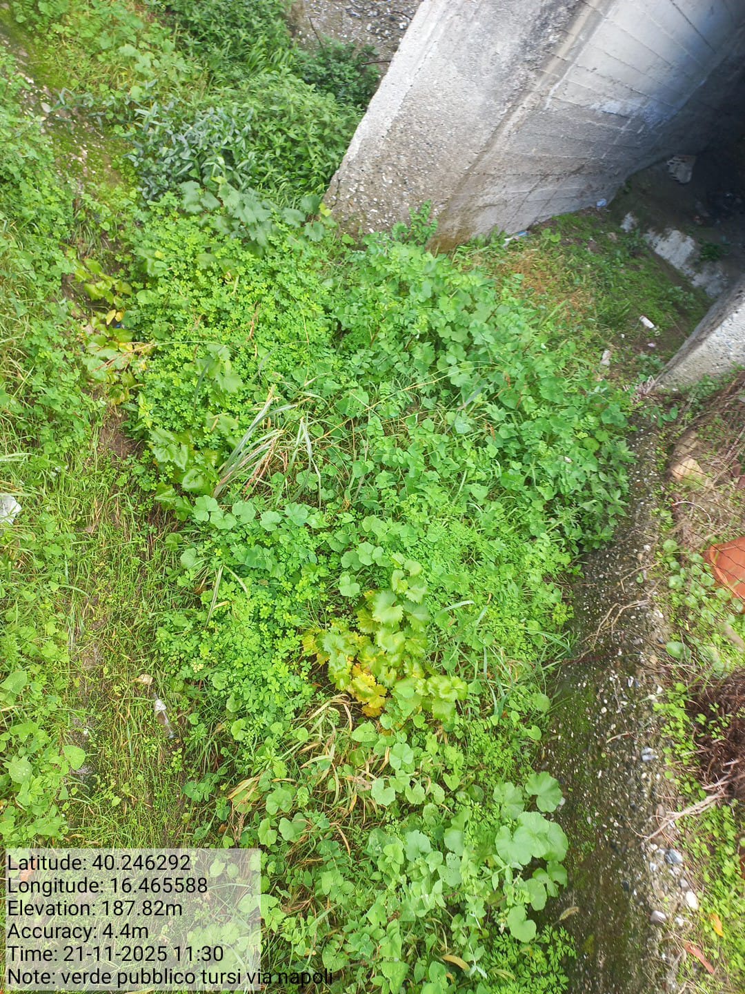 Galleria Fotografica Immagine