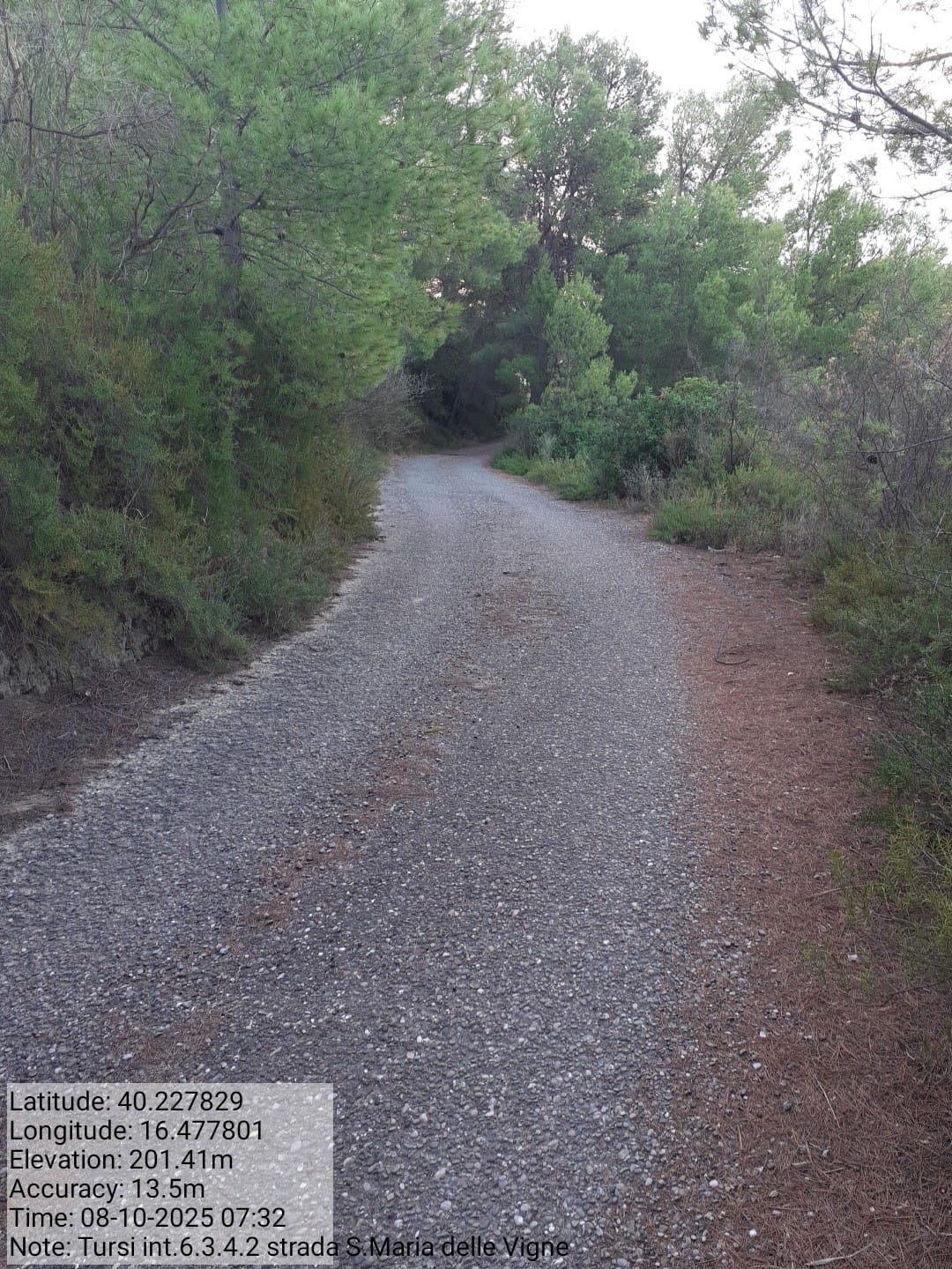 Galleria Fotografica Immagine