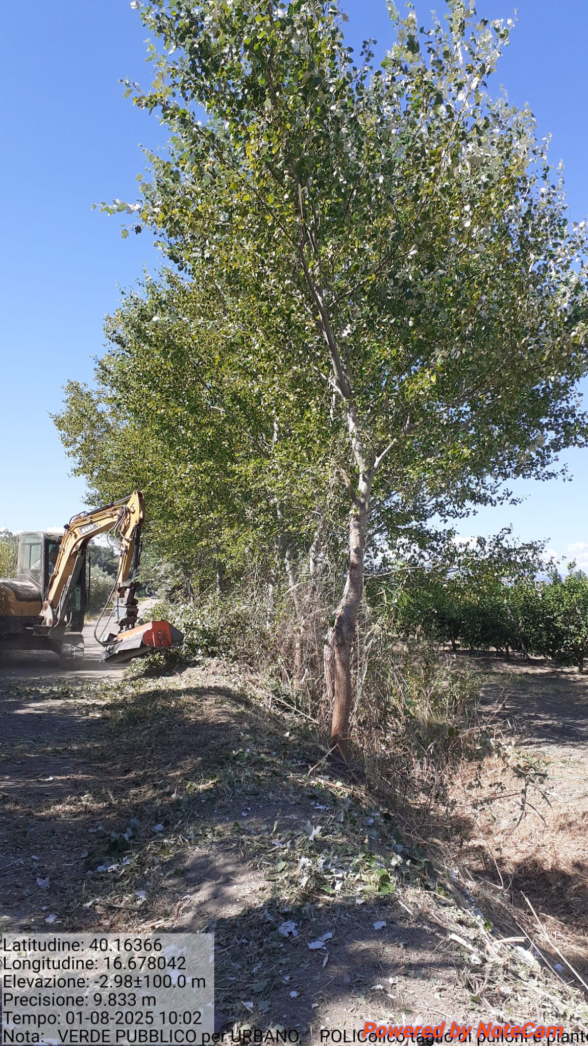 Galleria Fotografica Immagine