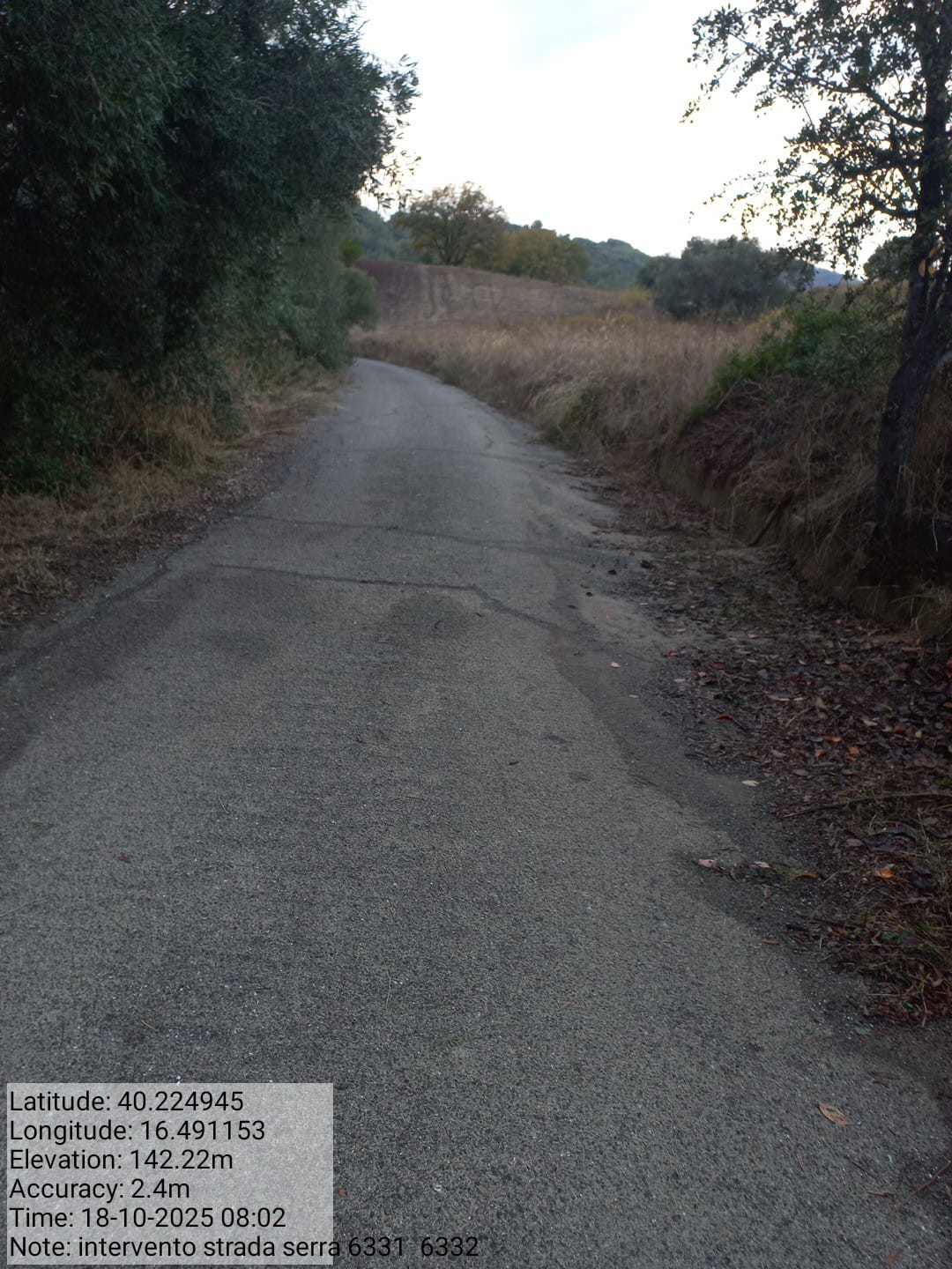 Galleria Fotografica Immagine