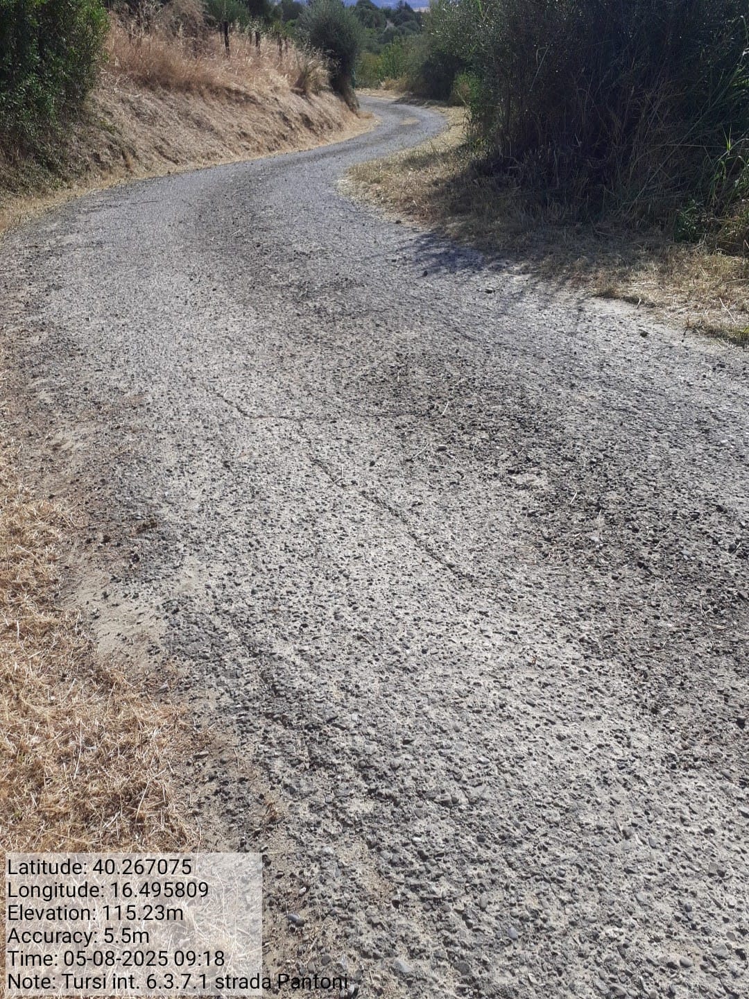 Galleria Fotografica Immagine