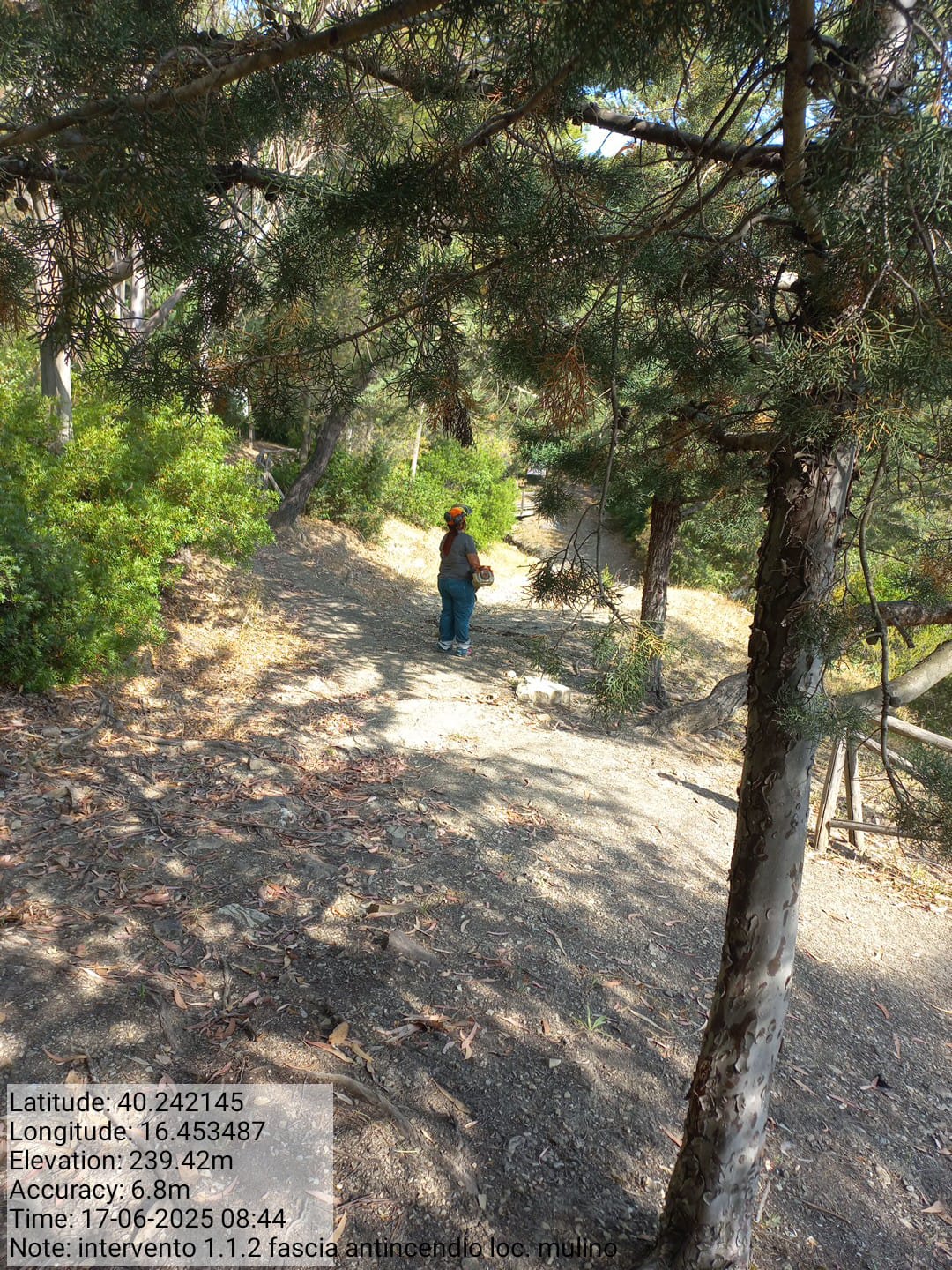 Galleria Fotografica Immagine