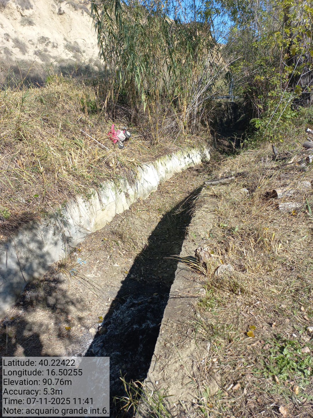 Galleria Fotografica Immagine